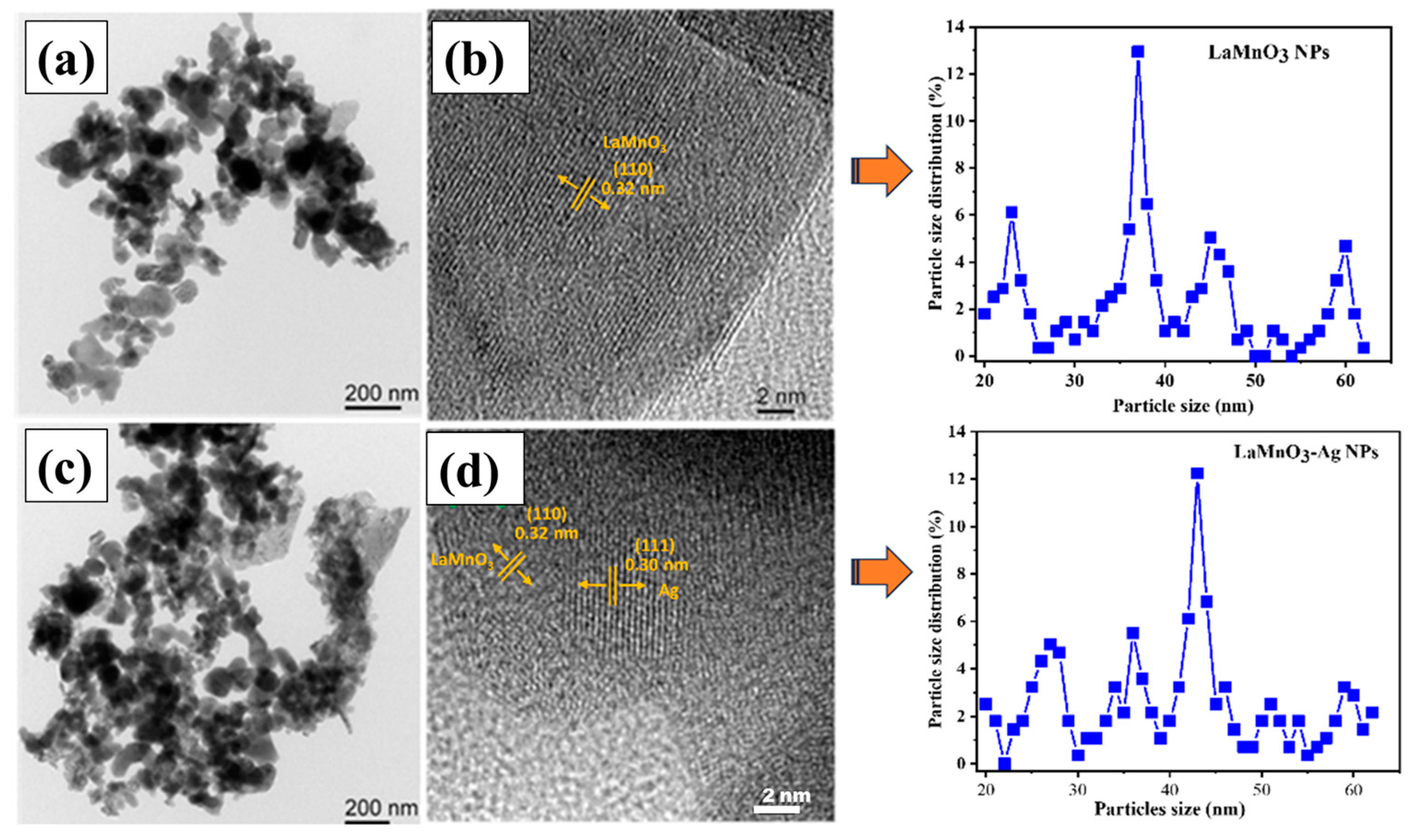 Catalysts 14 00609 g003 Catalysts 14 00609 g003