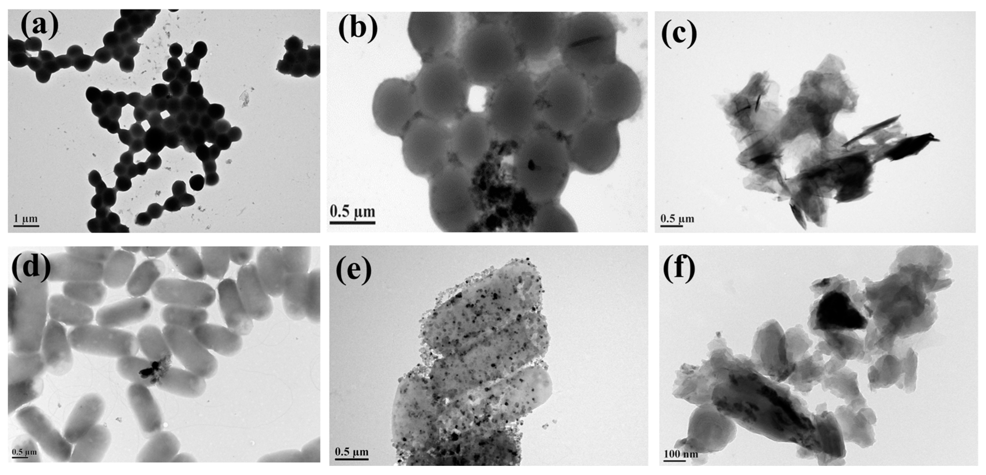Catalysts 14 00609 g009 Catalysts 14 00609 g009