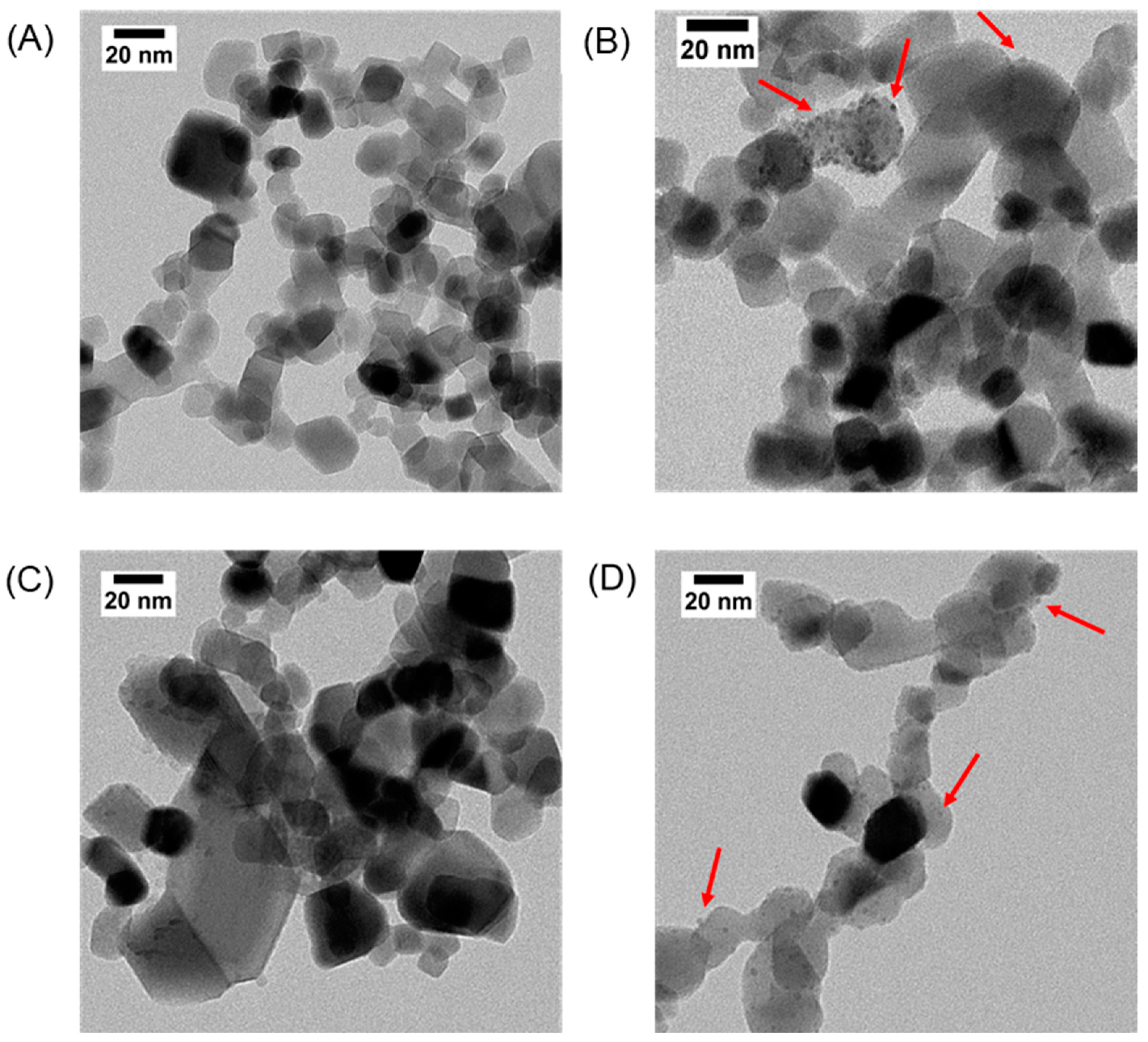 Catalysts 14 00612 g001