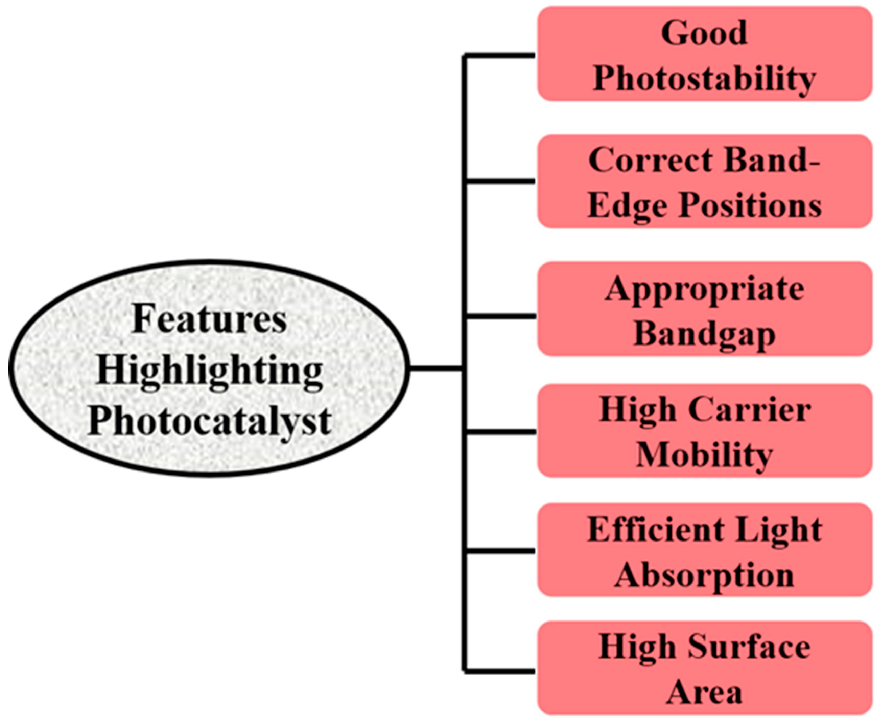 Catalysts 14 00618 g001