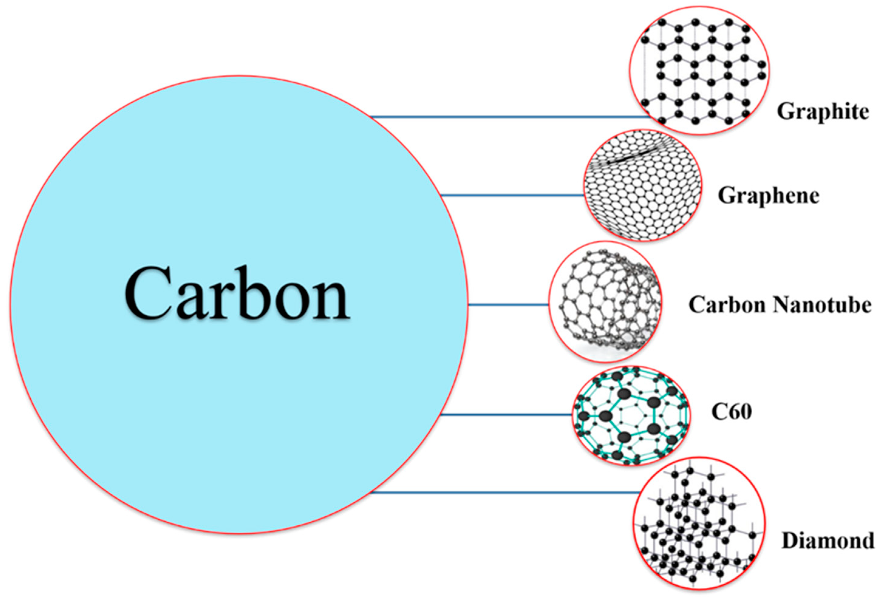 Catalysts 14 00618 g003