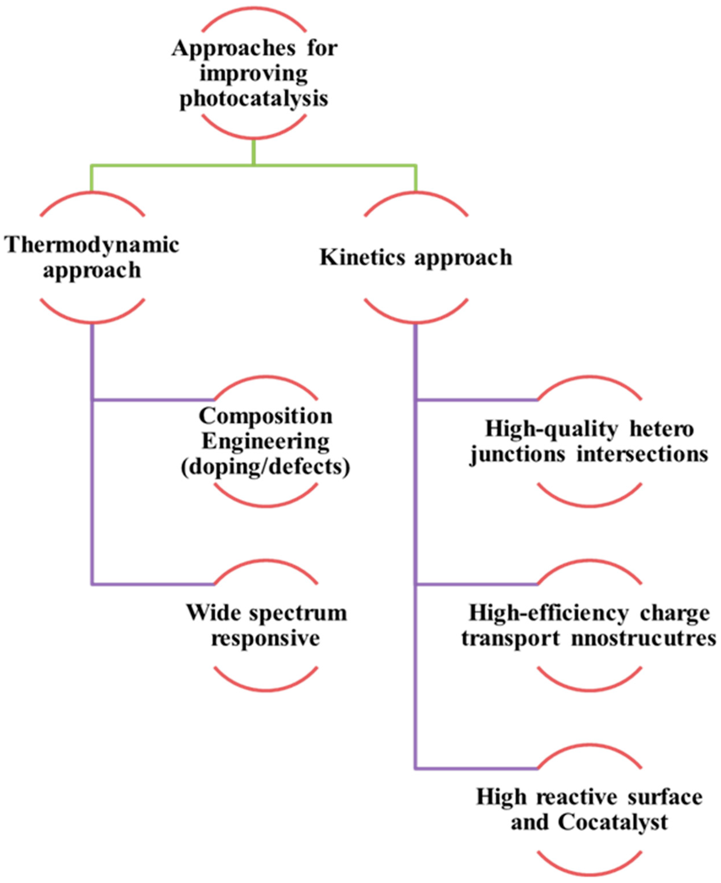 Catalysts 14 00618 g010
