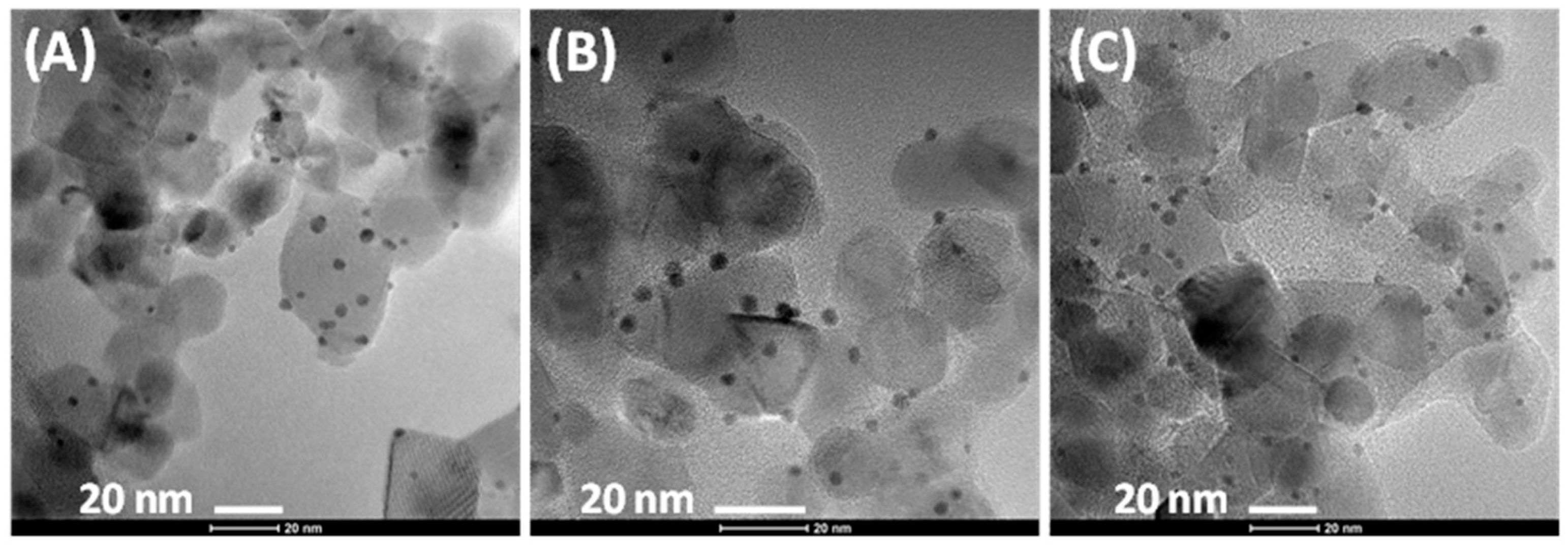 Catalysts 14 00619 g002