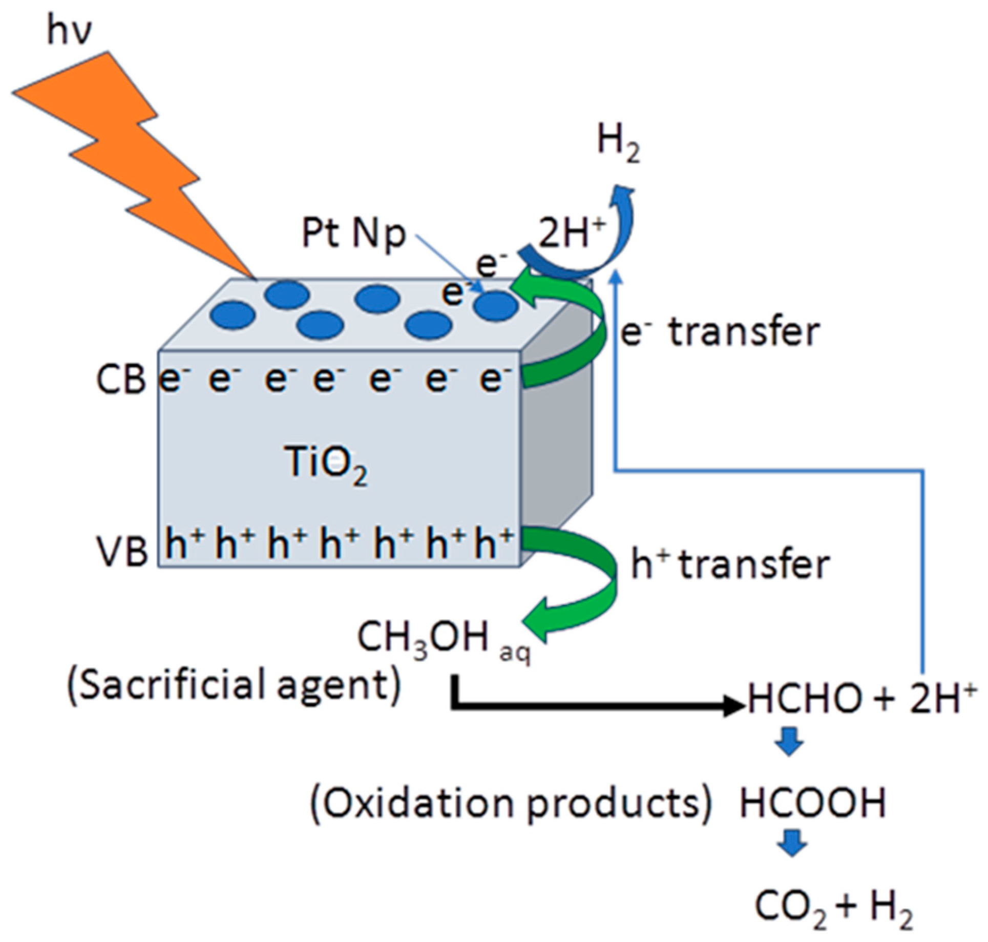 Catalysts 14 00619 g009