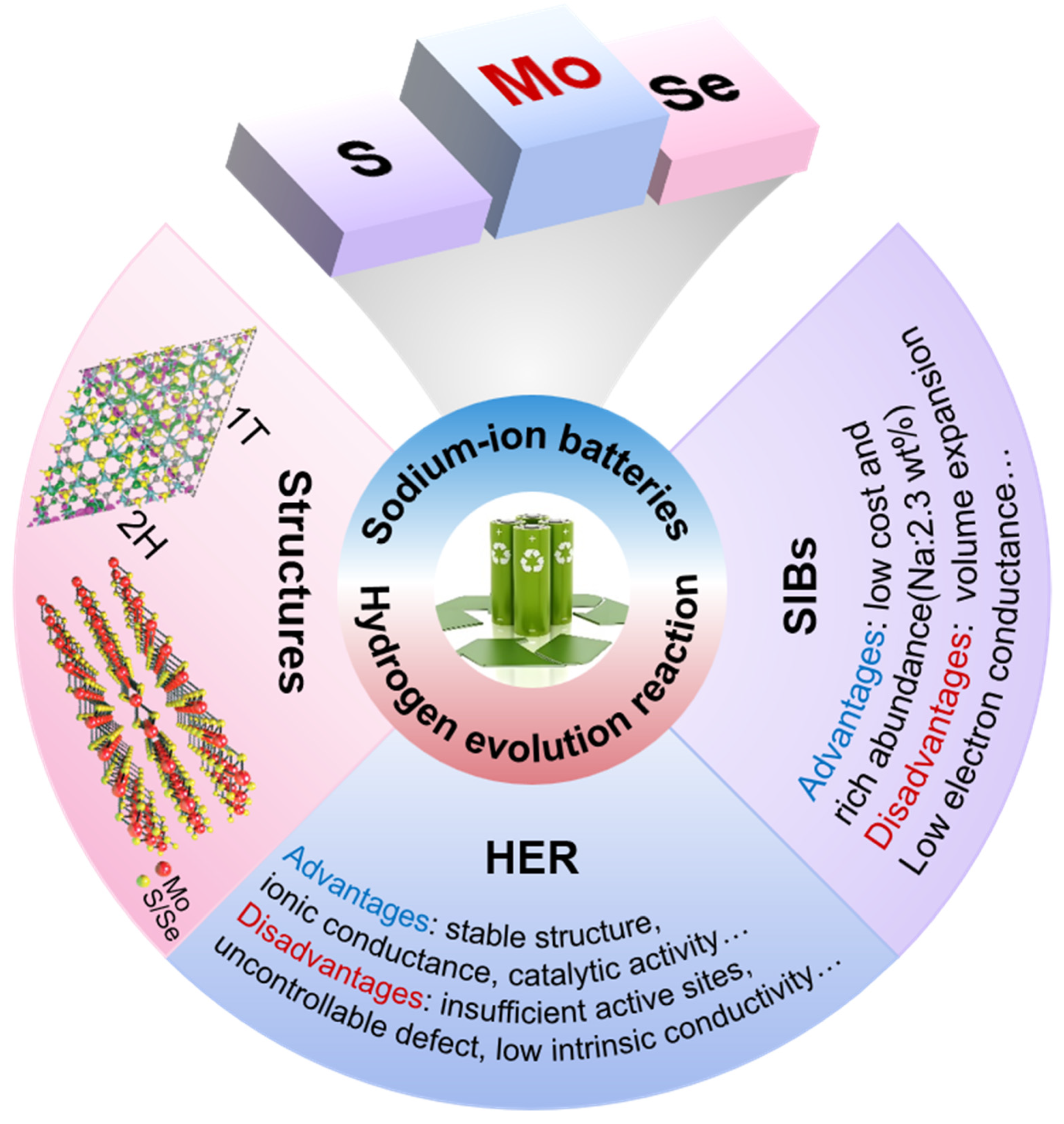 Catalysts 14 00627 g001