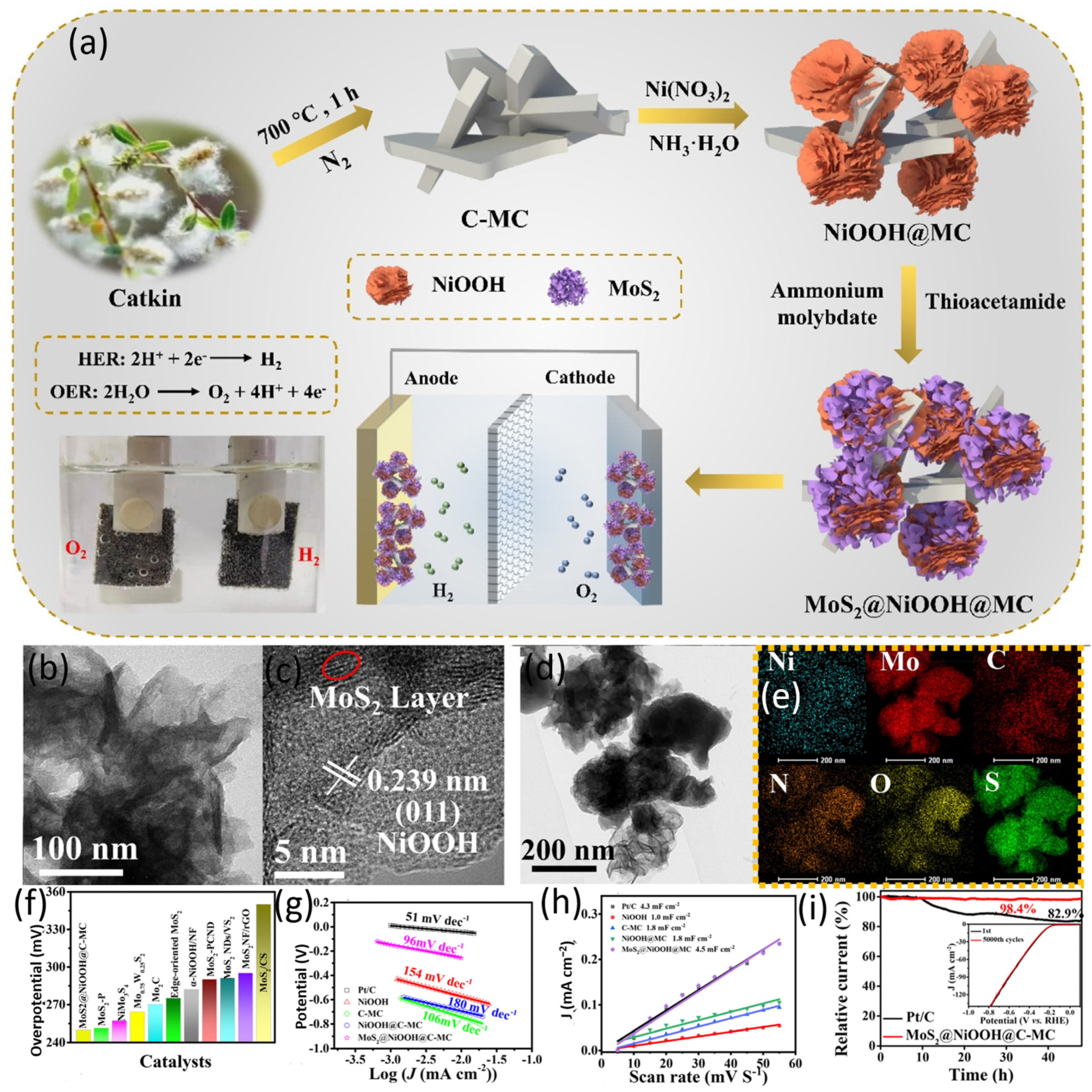 Catalysts 14 00627 g005