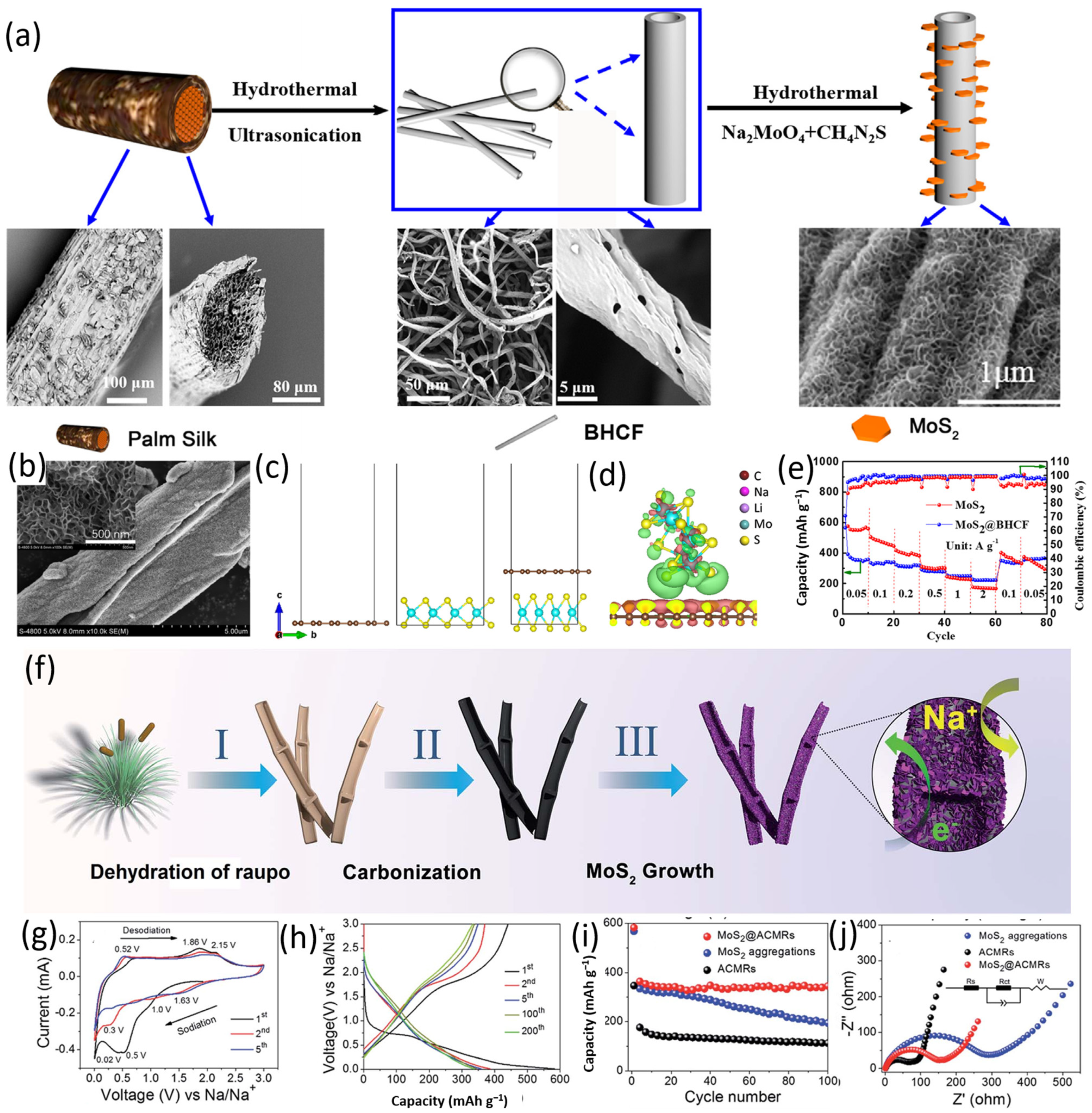 Catalysts 14 00627 g006