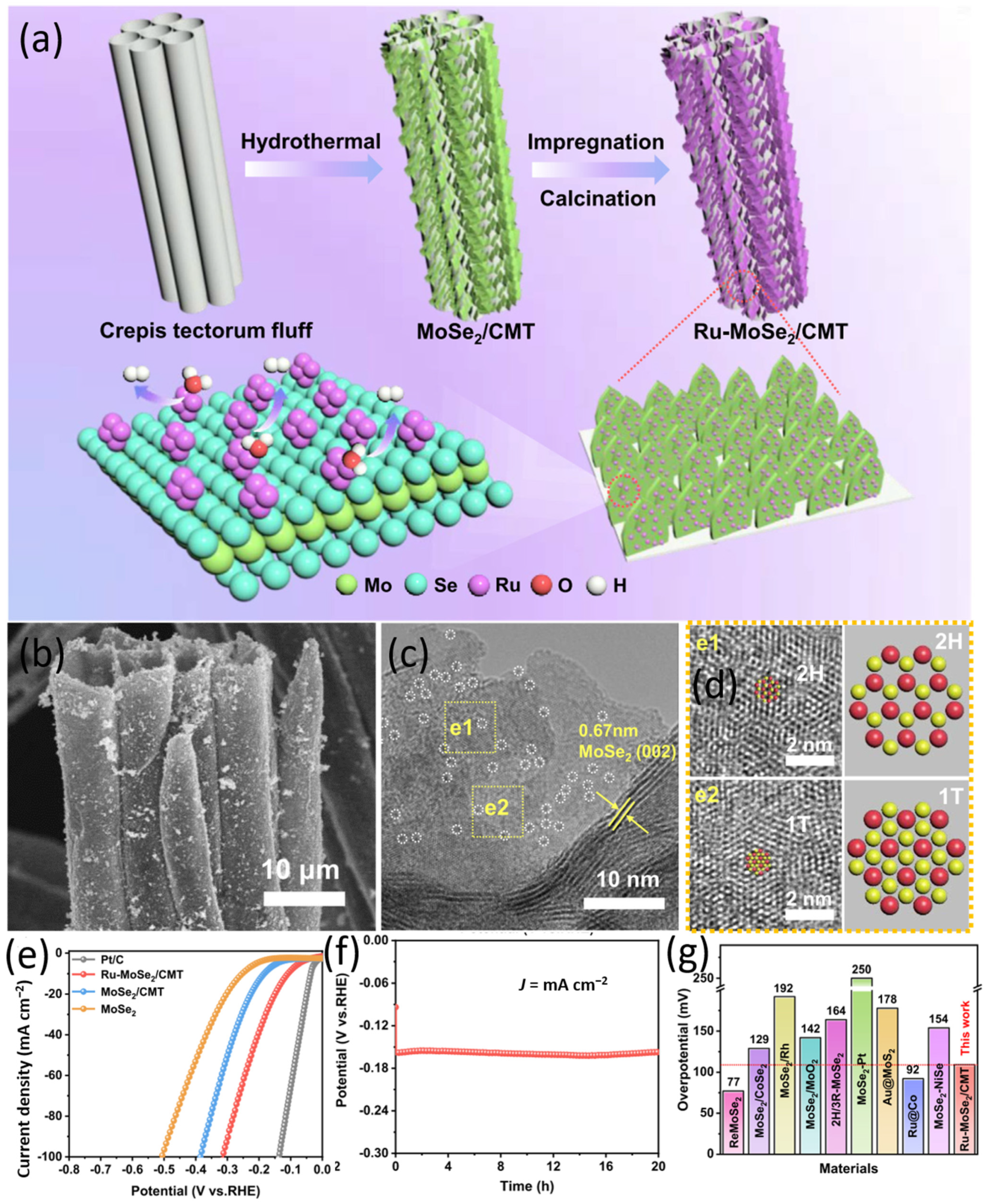 Catalysts 14 00627 g007