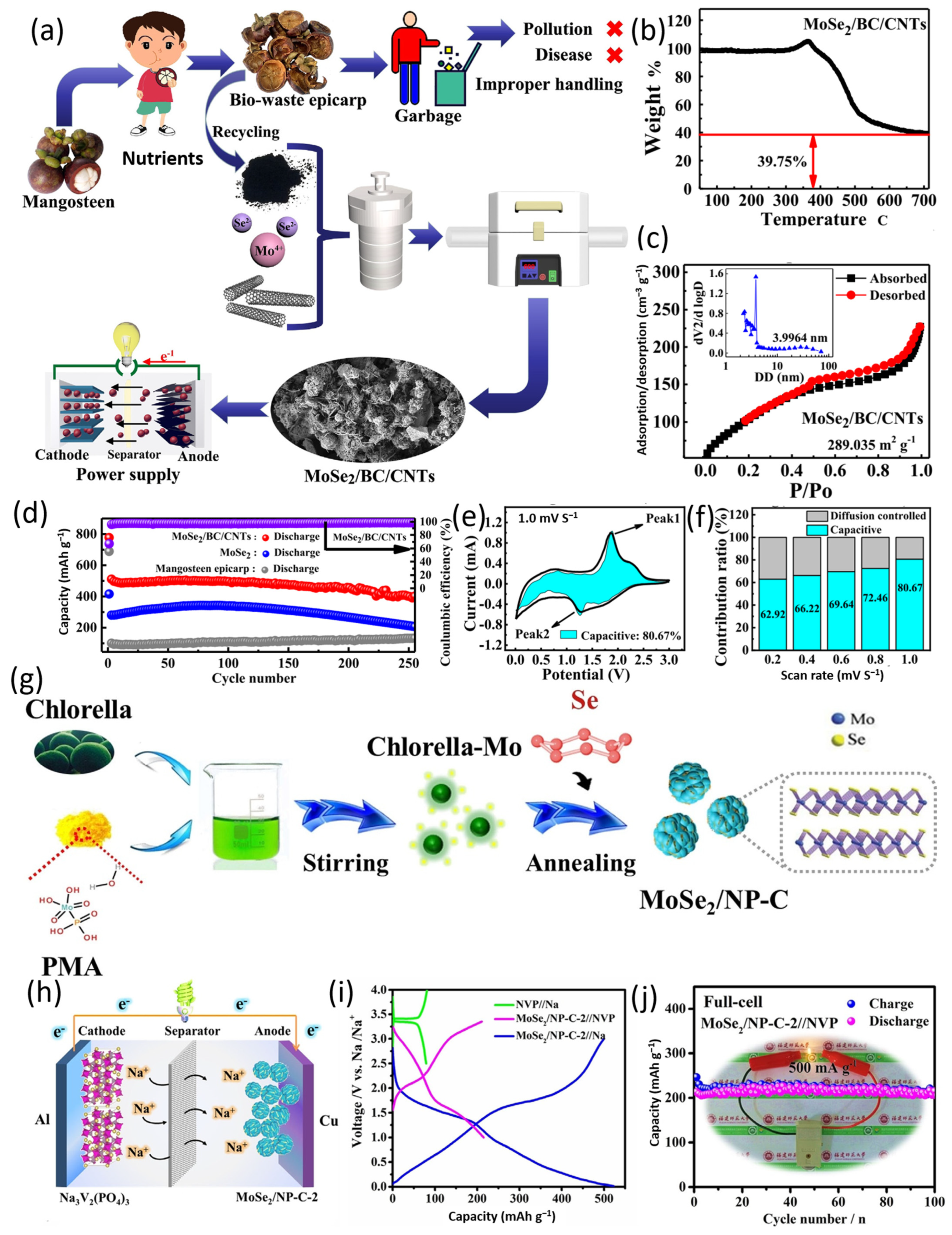 Catalysts 14 00627 g008