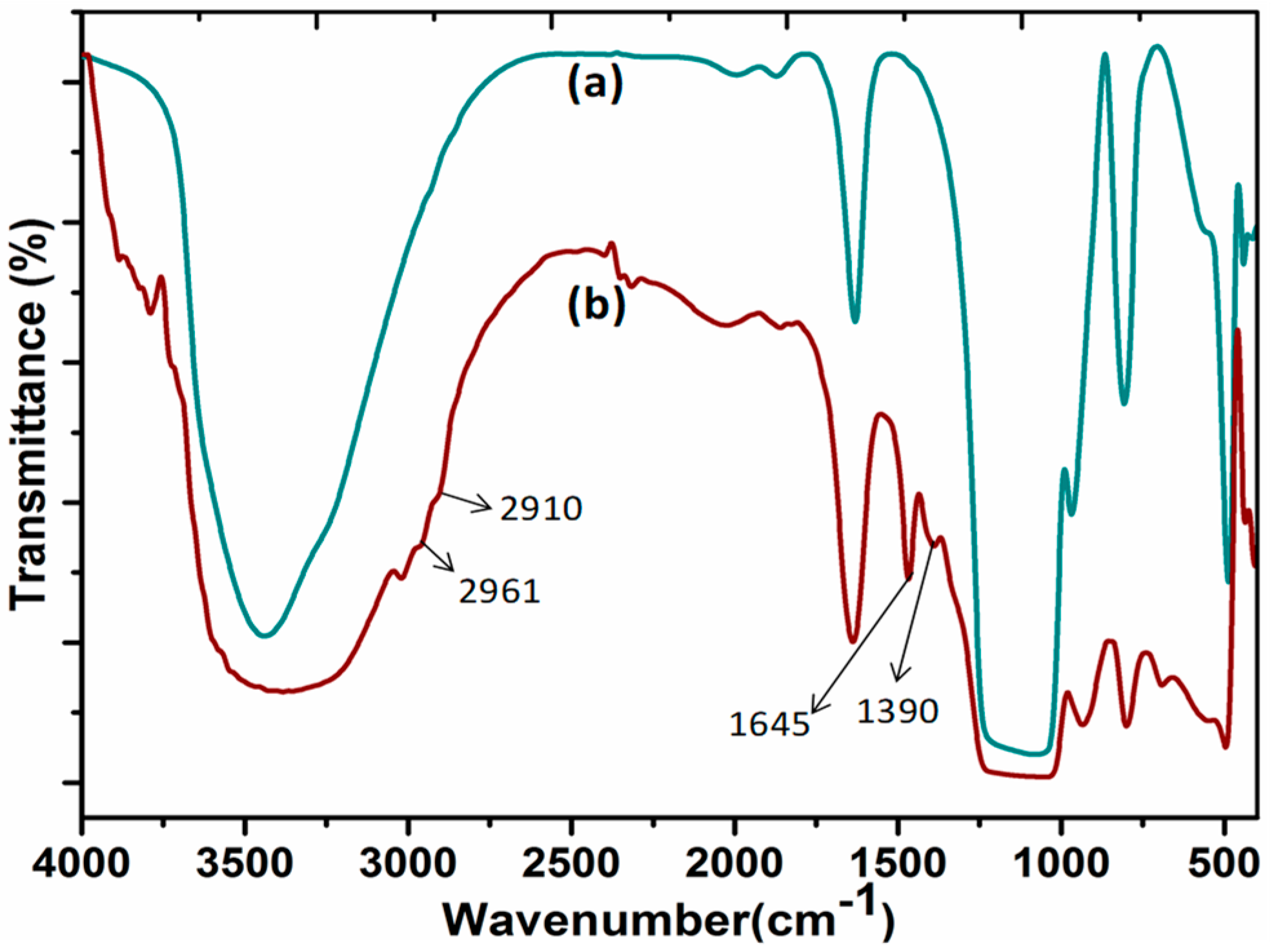 Catalysts 14 00629 g001