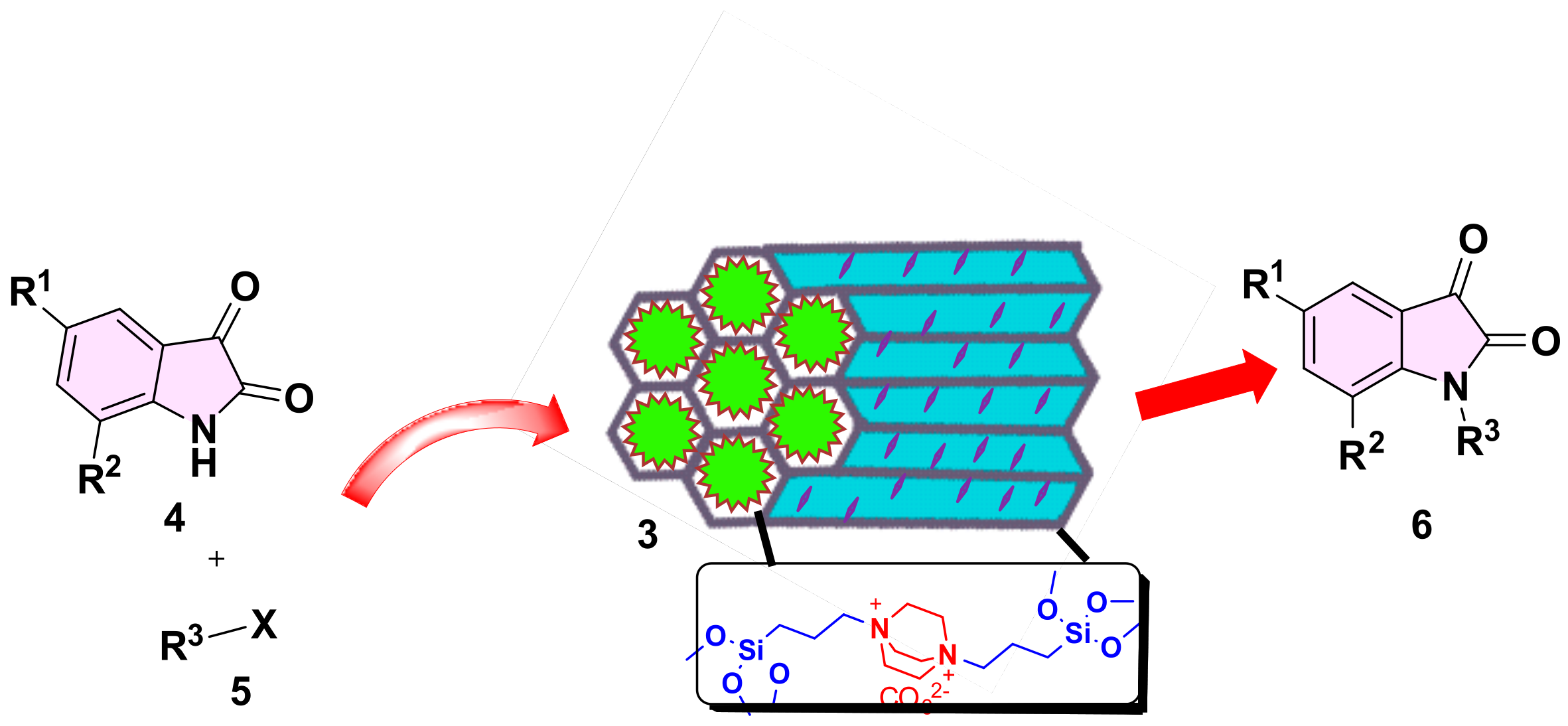 Catalysts 14 00629 sch002