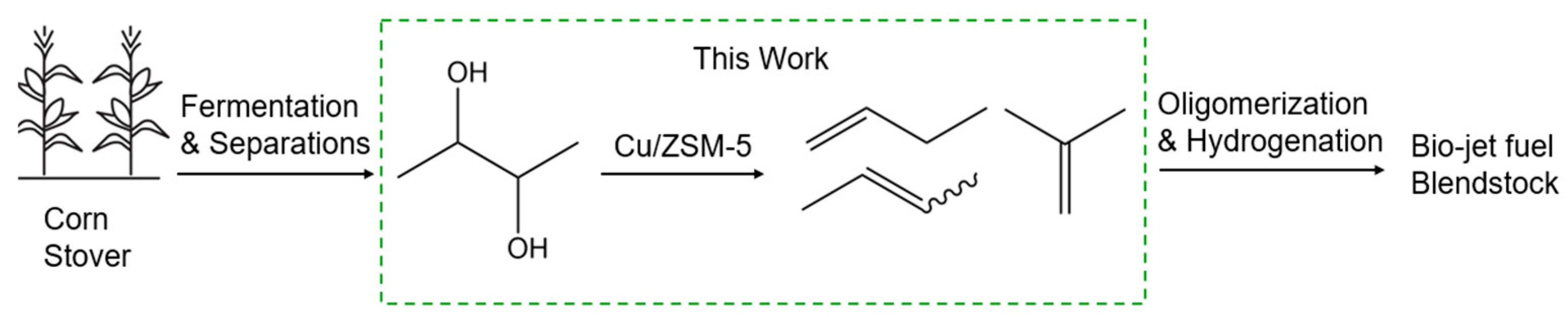 Catalysts 14 00634 g001 Catalysts 14 00634 g001