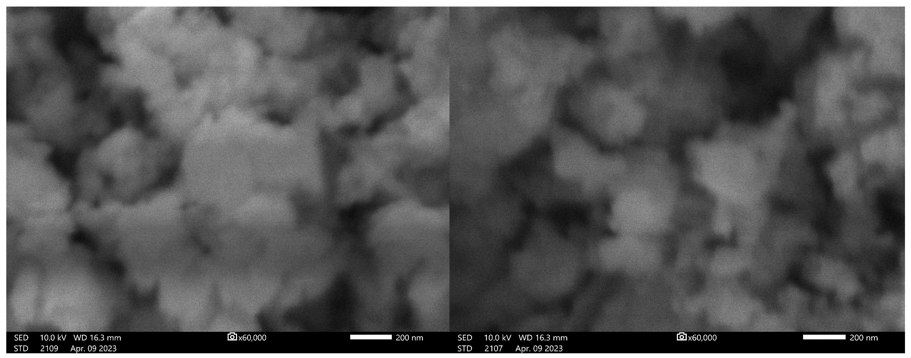 Catalysts 14 00641 g002 Catalysts 14 00641 g002