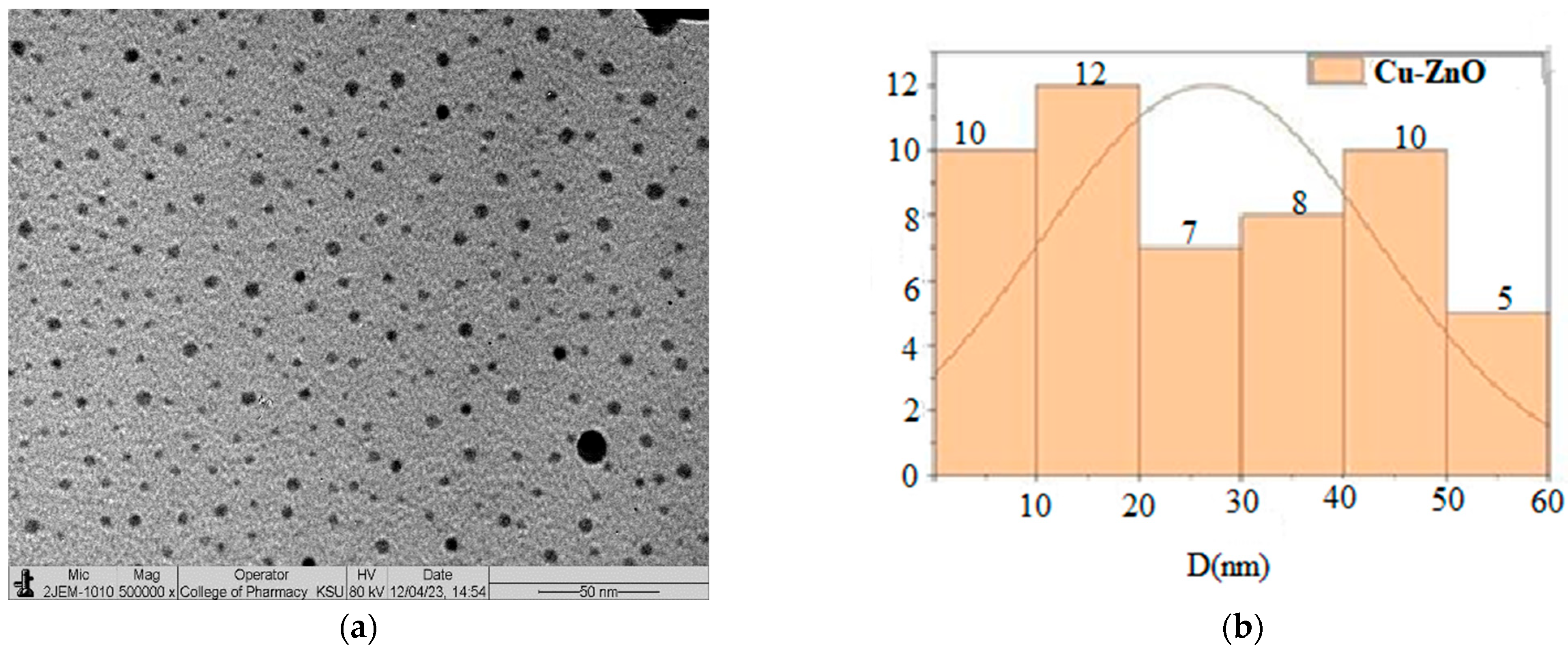Catalysts 14 00641 g005 Catalysts 14 00641 g005