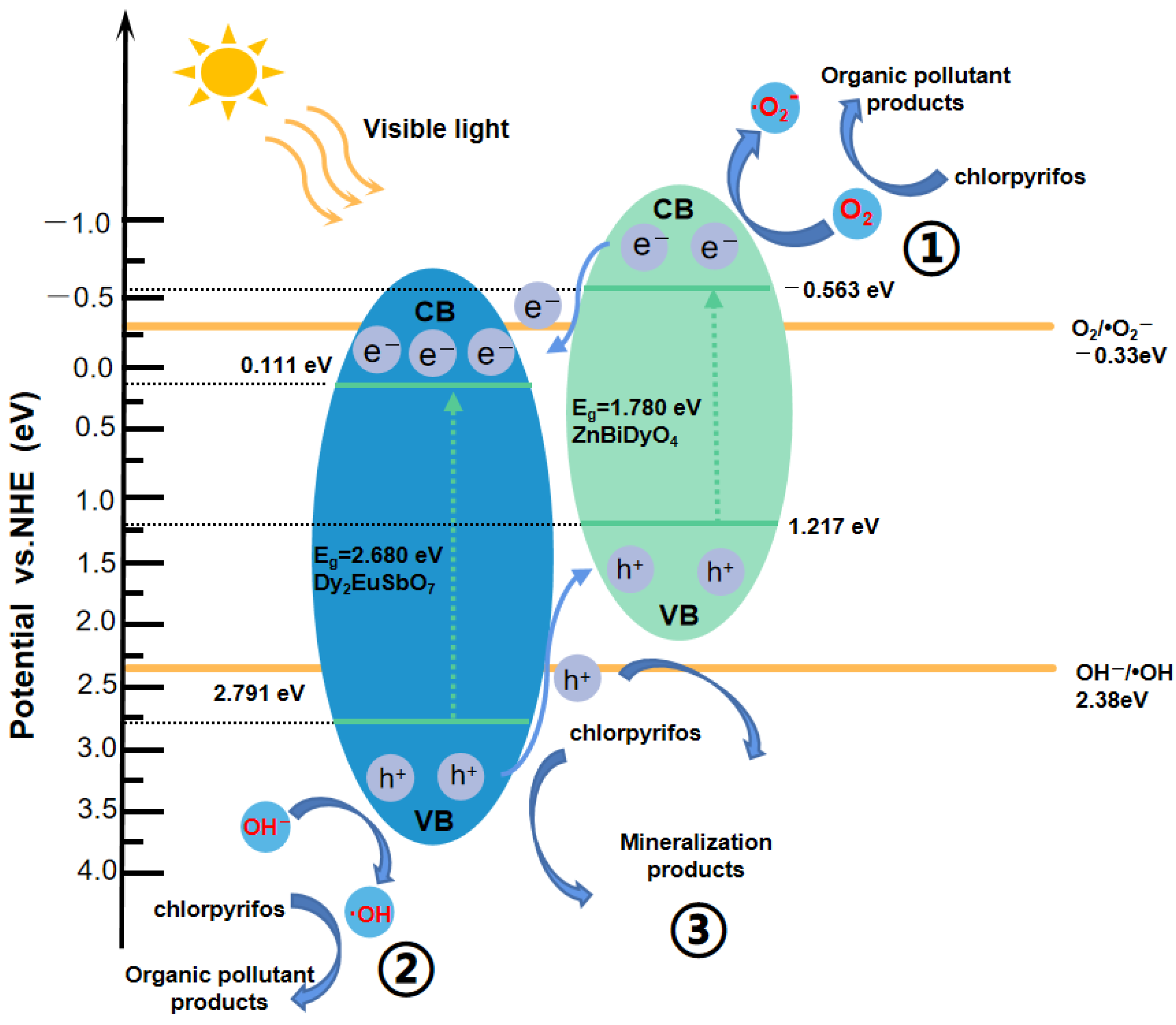 Catalysts 14 00646 g024