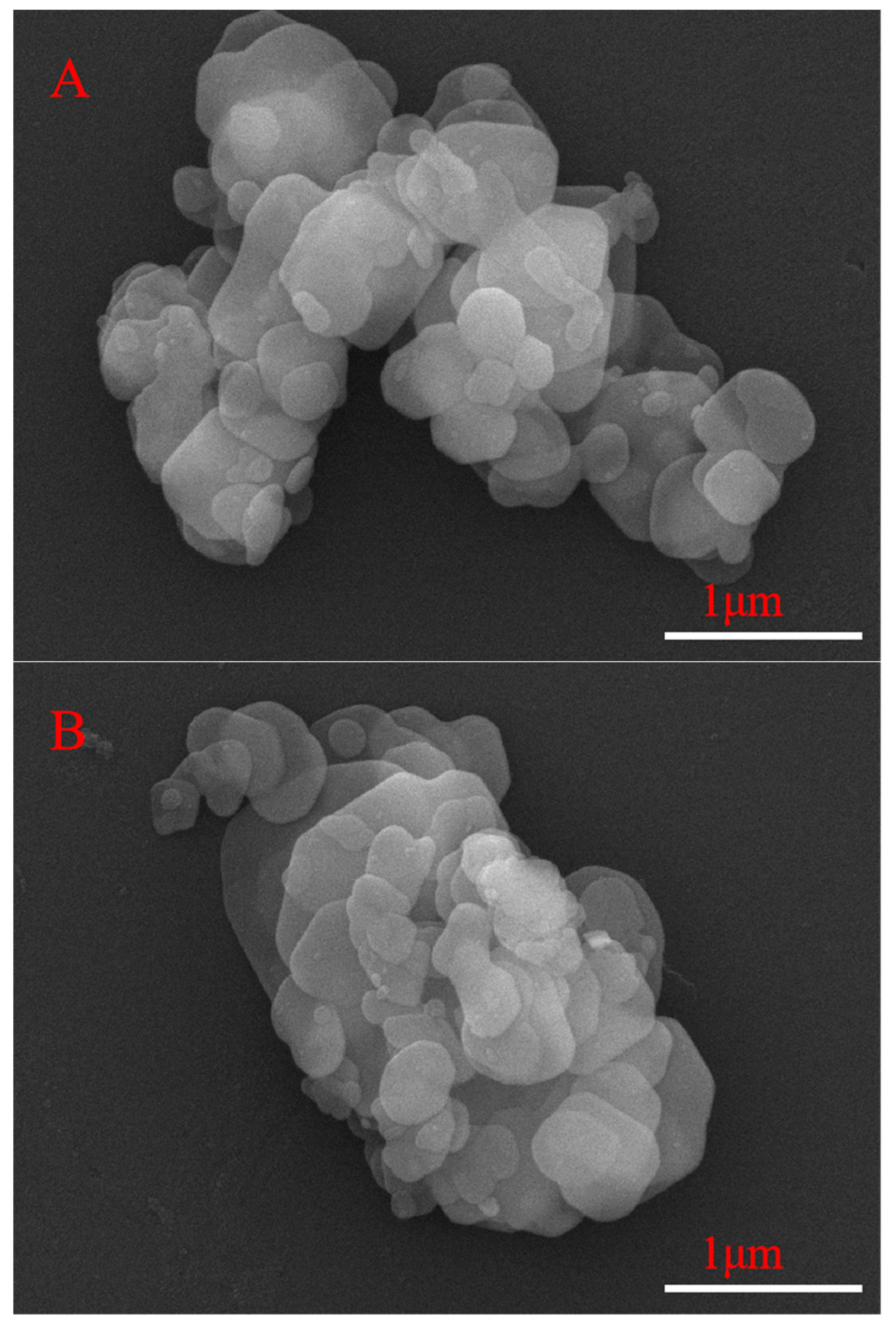 Catalysts 14 00654 g002a Catalysts 14 00654 g002a