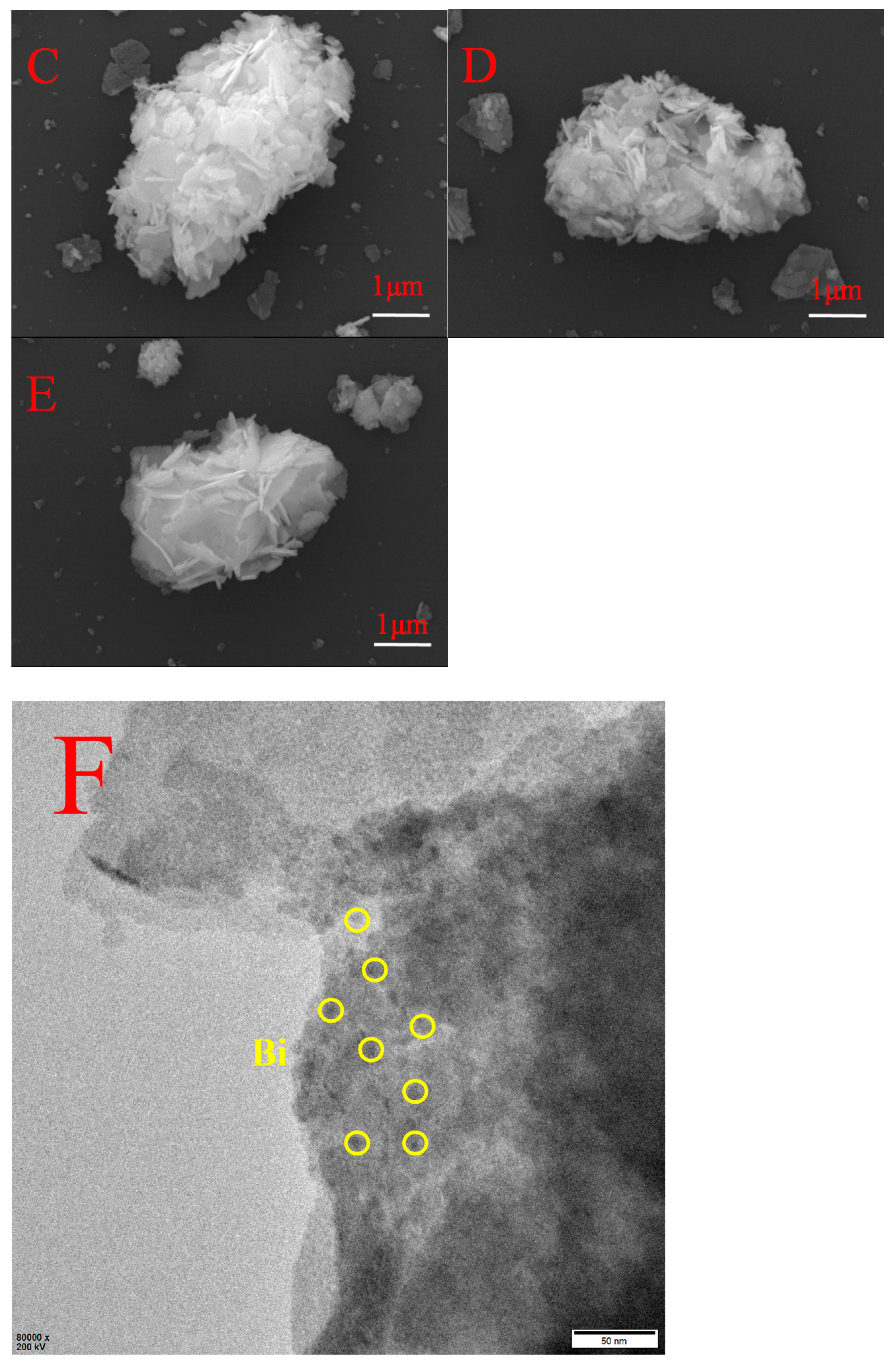 Catalysts 14 00654 g002b Catalysts 14 00654 g002b