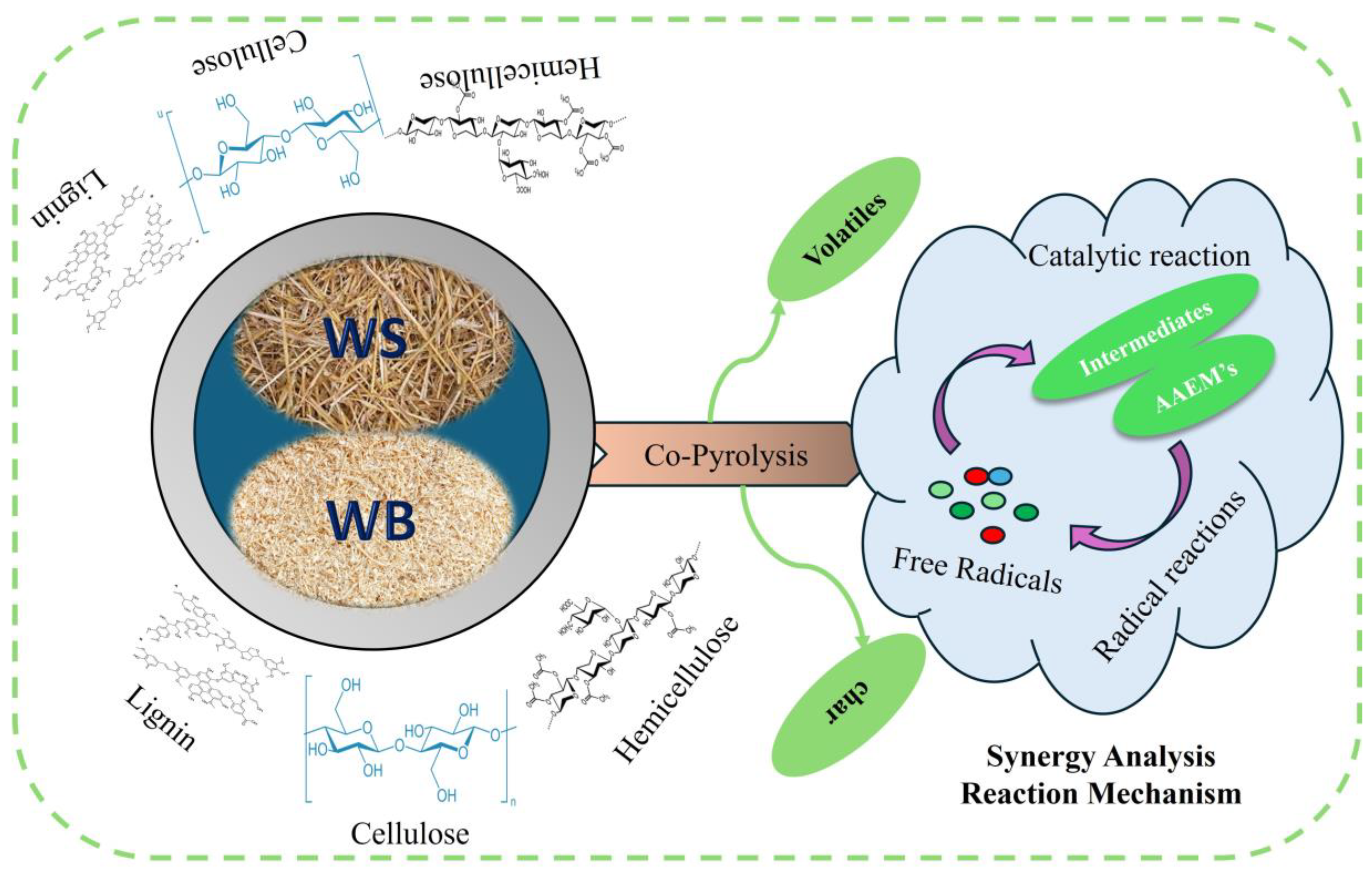 Catalysts 14 00655 g009