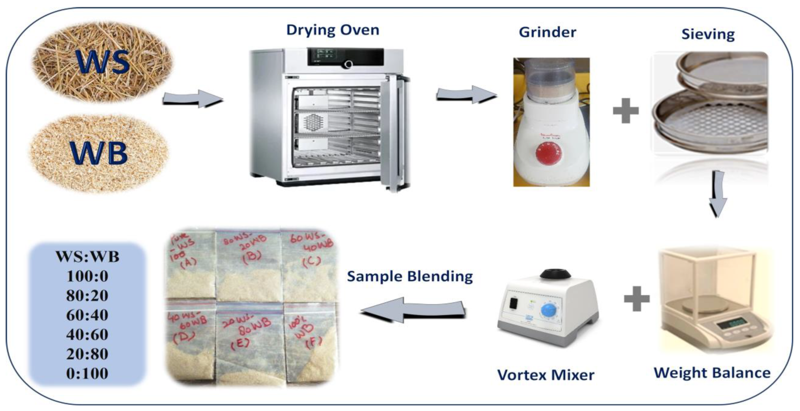 Catalysts 14 00655 g013