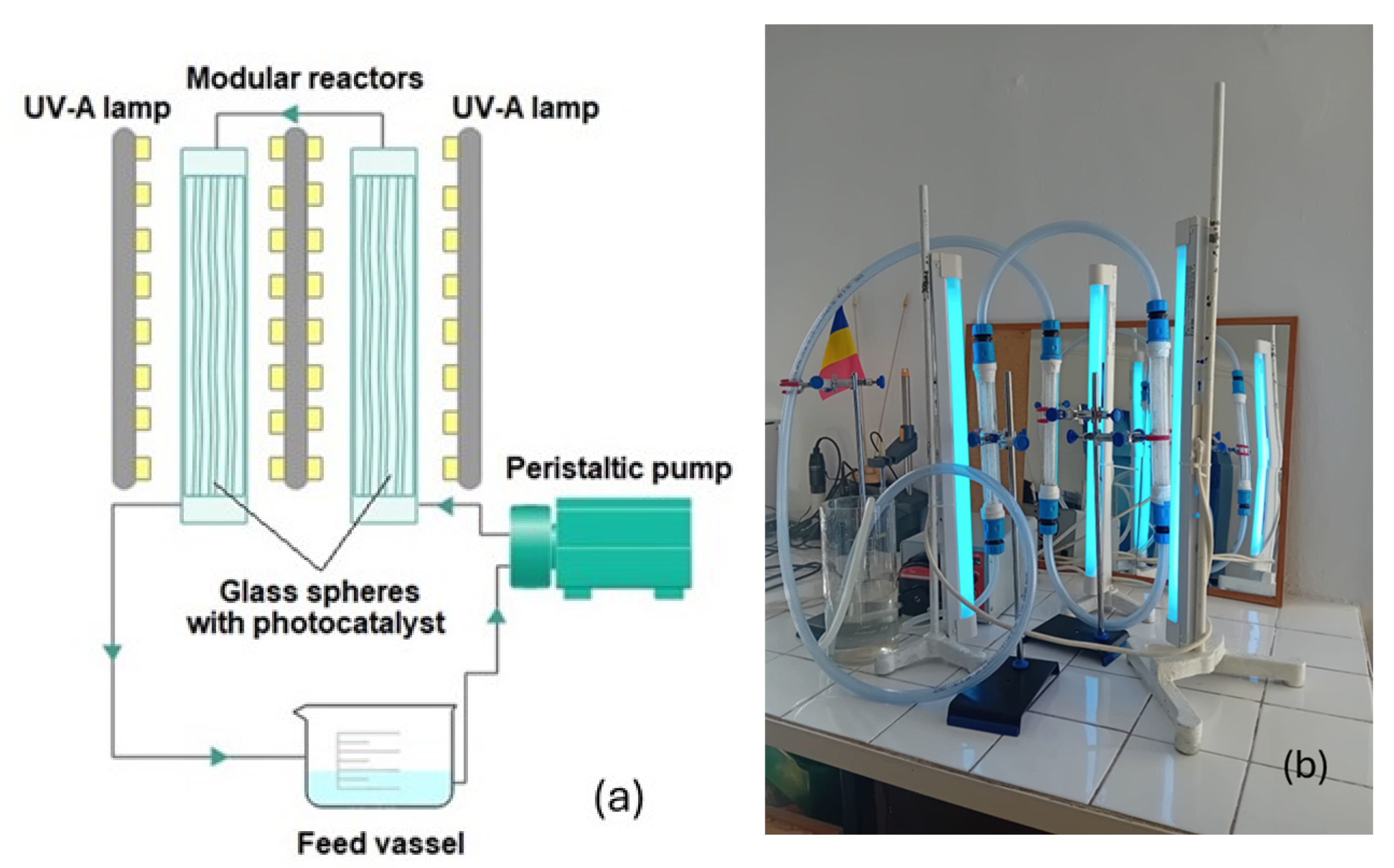 Catalysts 14 00661 g011