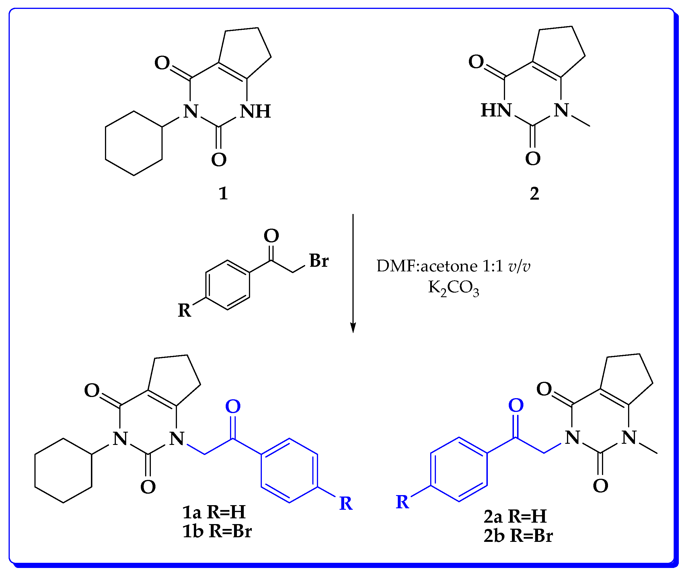 Catalysts 14 00667 sch002