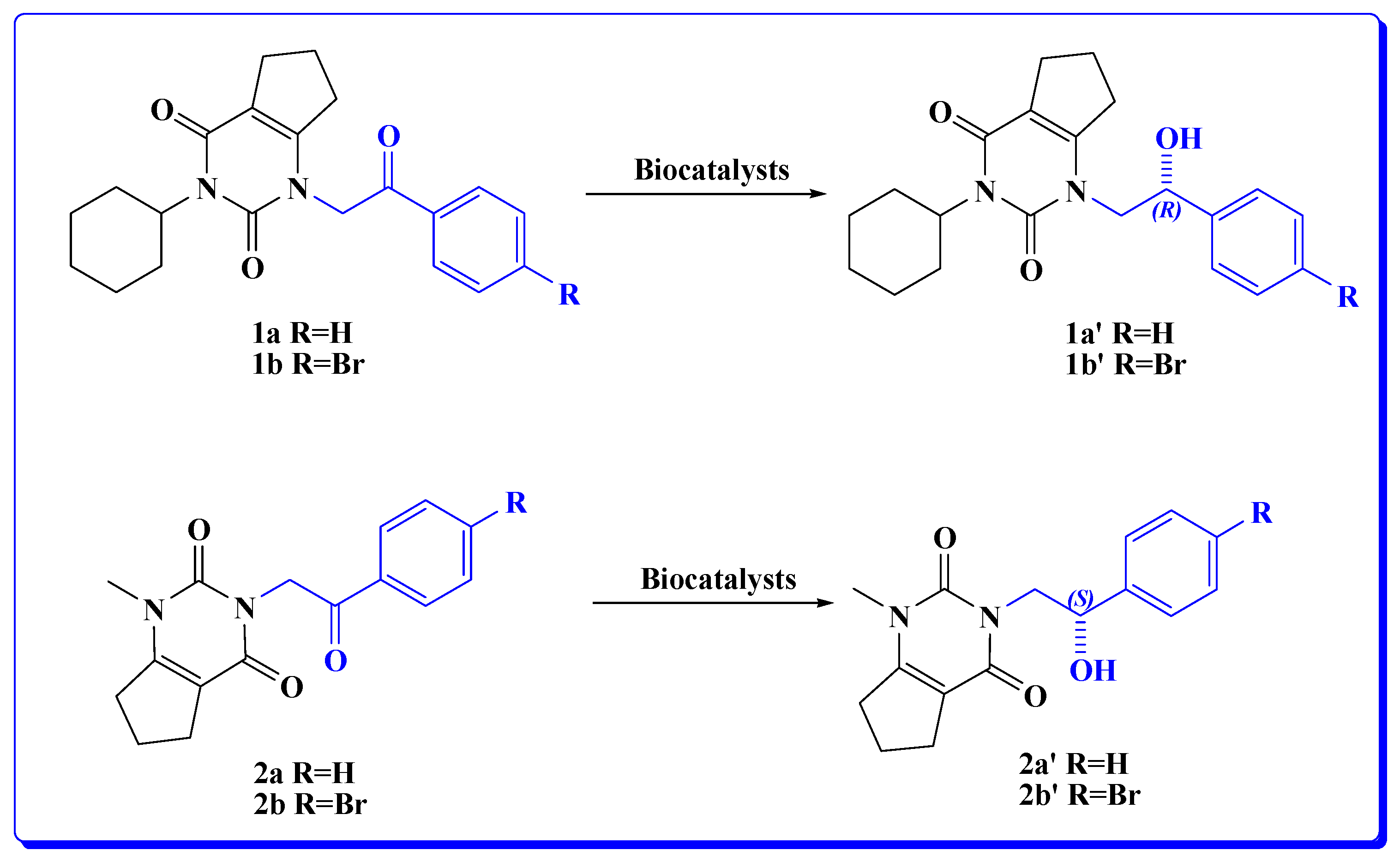 Catalysts 14 00667 sch003