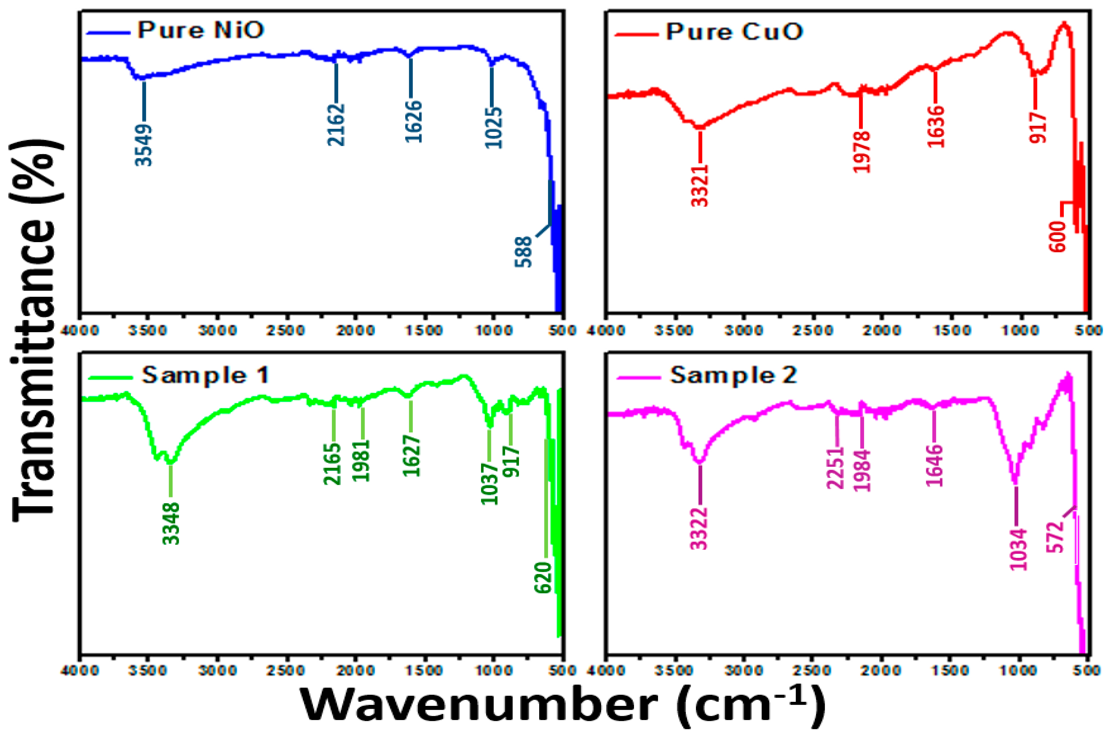 Catalysts 14 00669 g001