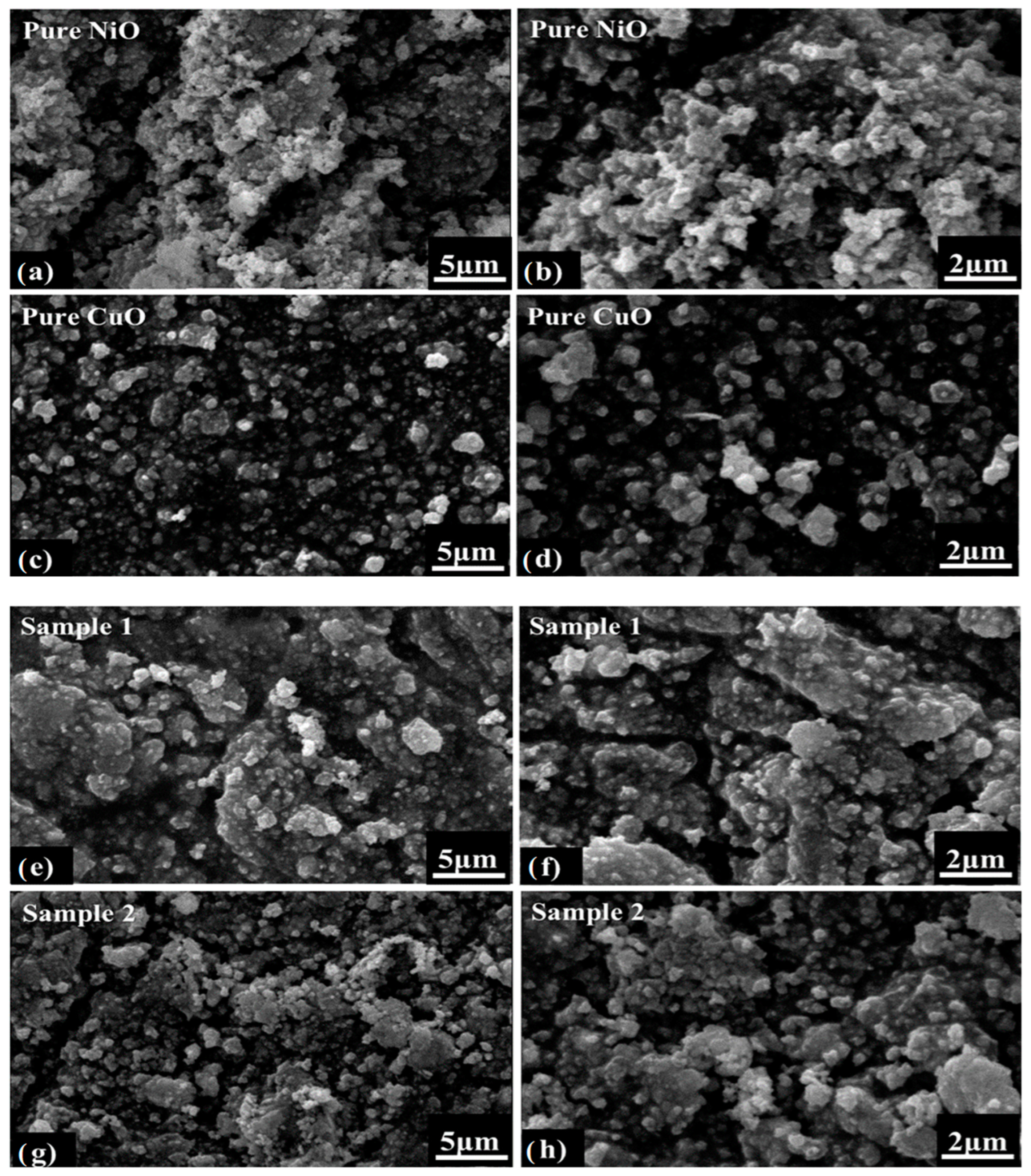 Catalysts 14 00669 g003