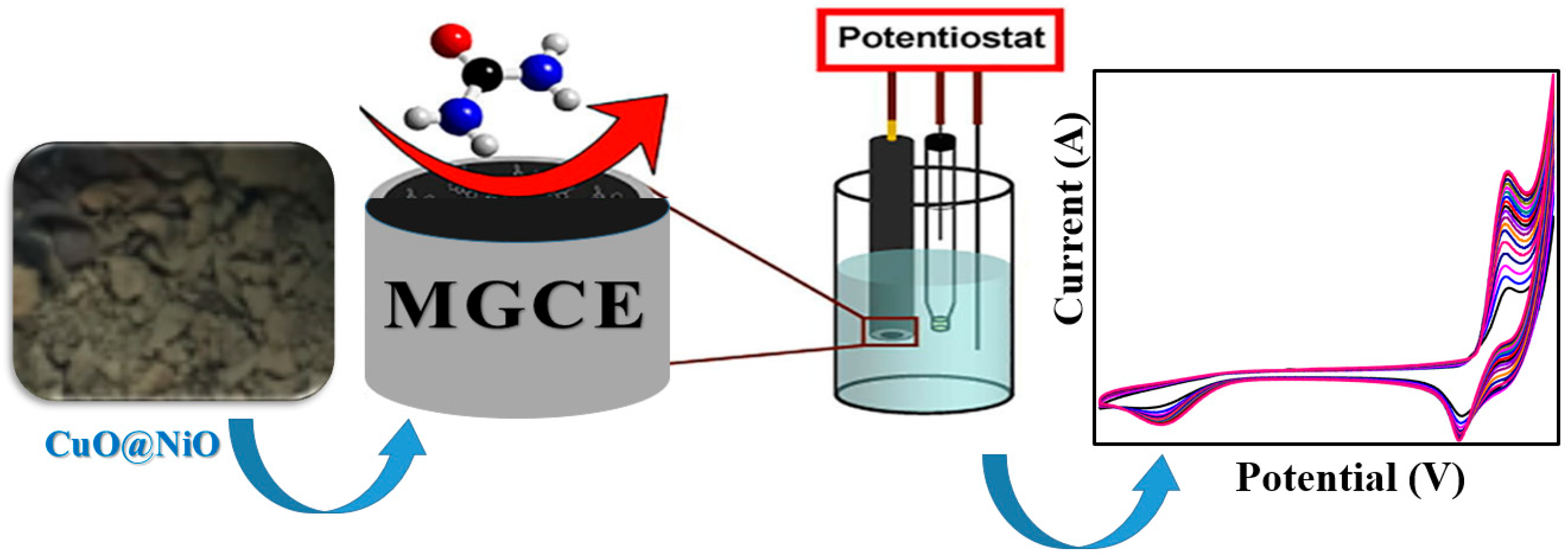 Catalysts 14 00669 sch001