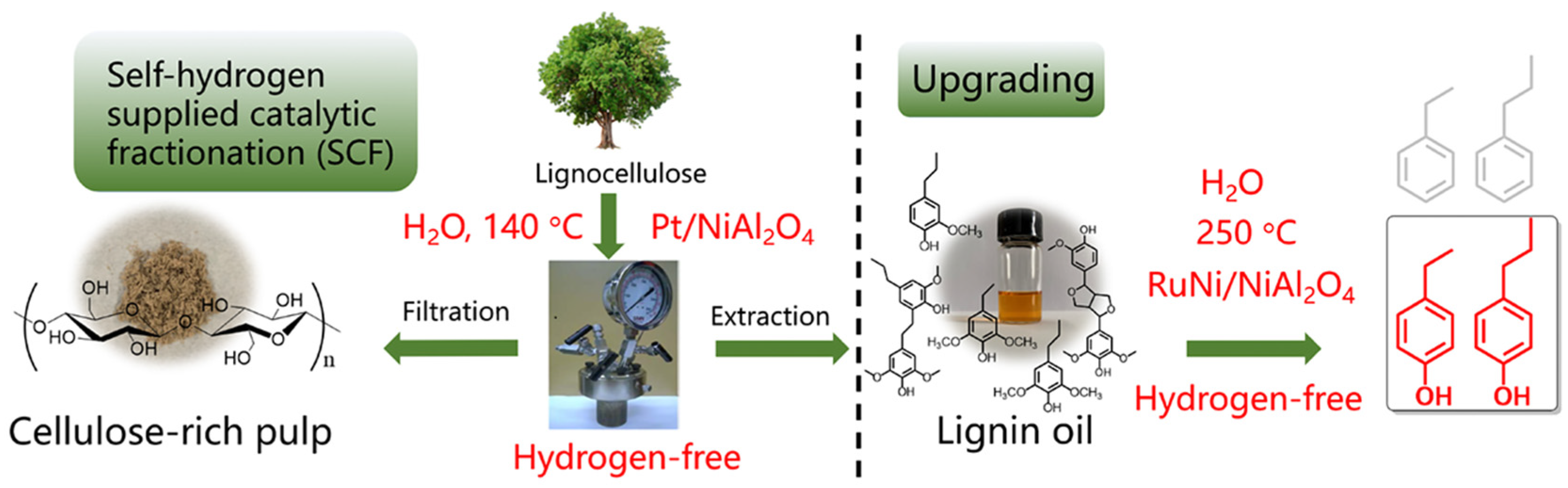 Catalysts 14 00673 g007