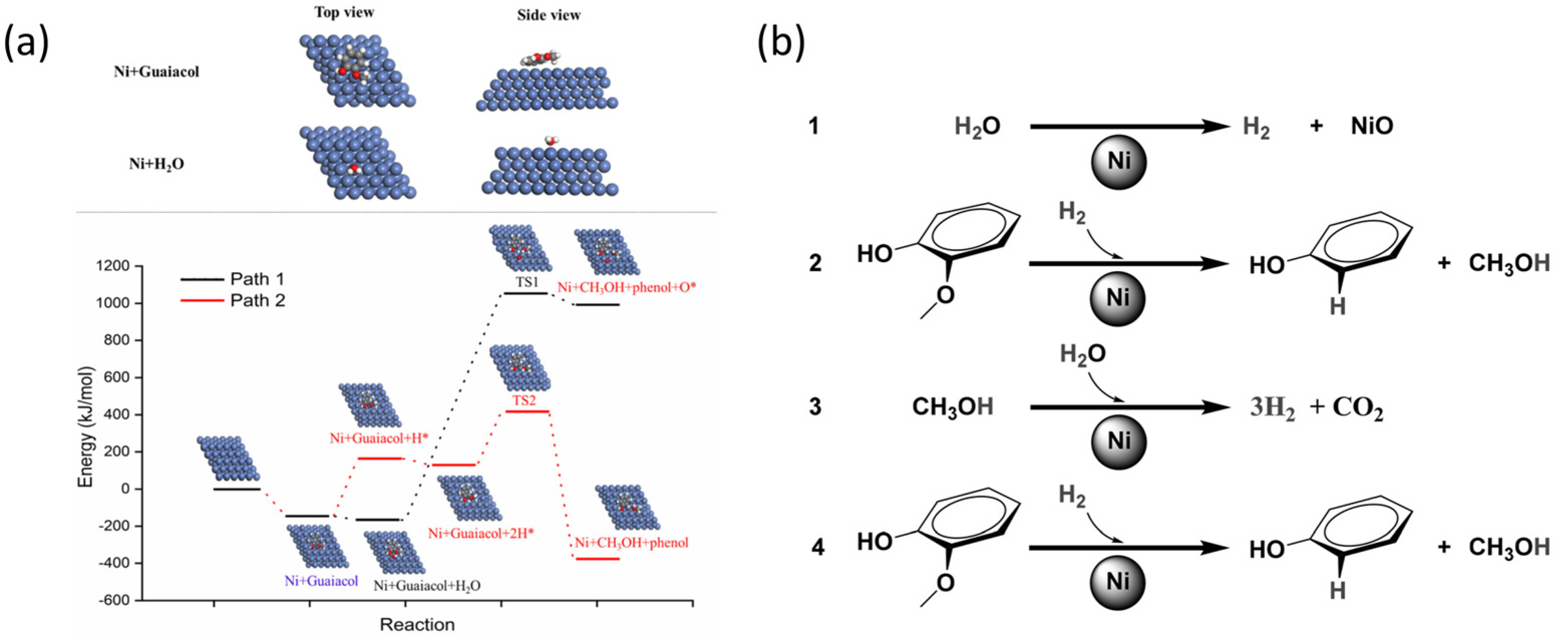 Catalysts 14 00673 g008