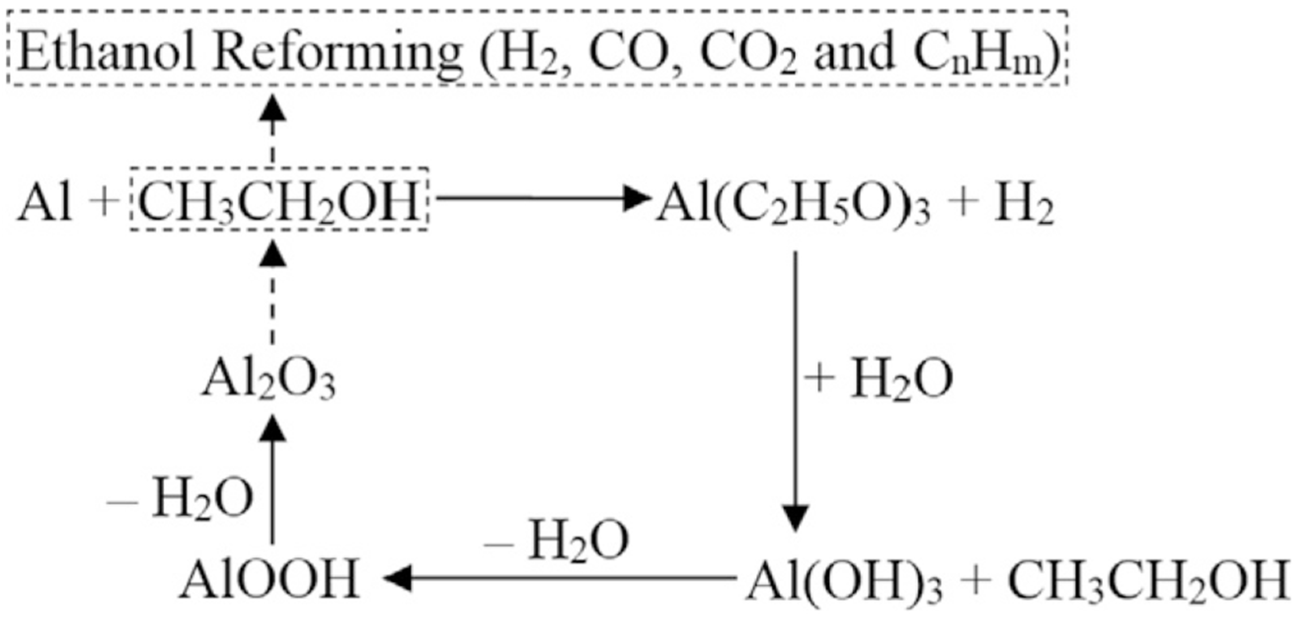 Catalysts 14 00673 g009