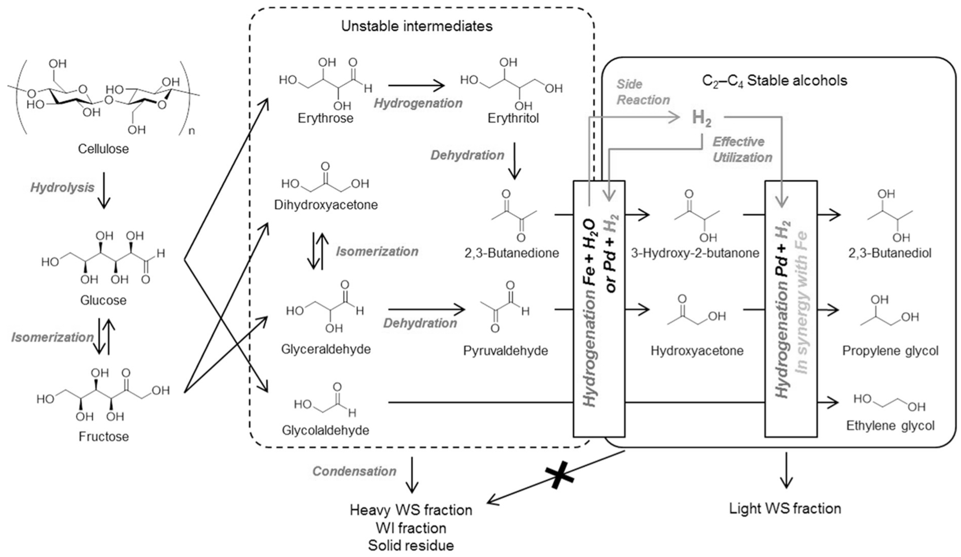 Catalysts 14 00673 g011