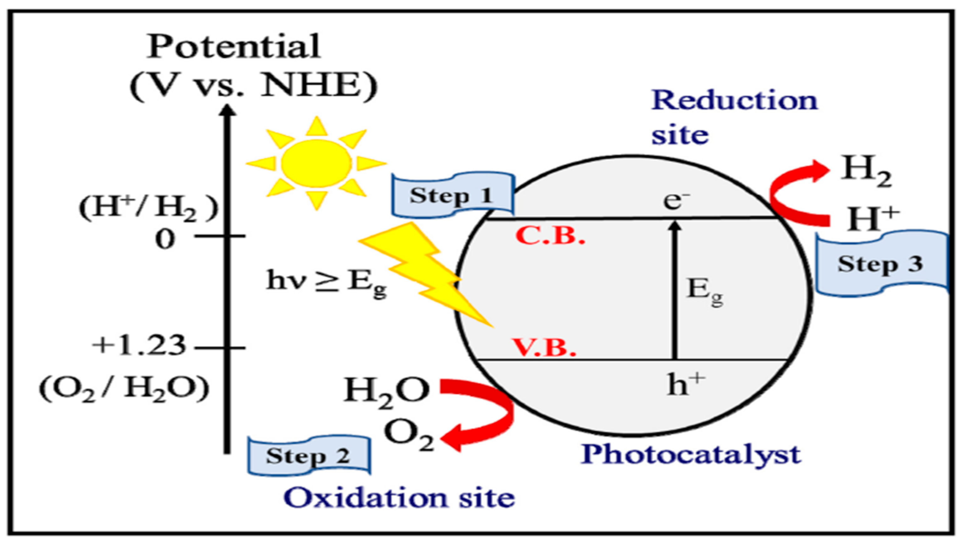 Catalysts 14 00674 g002