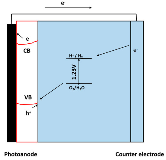 Catalysts 14 00674 g007