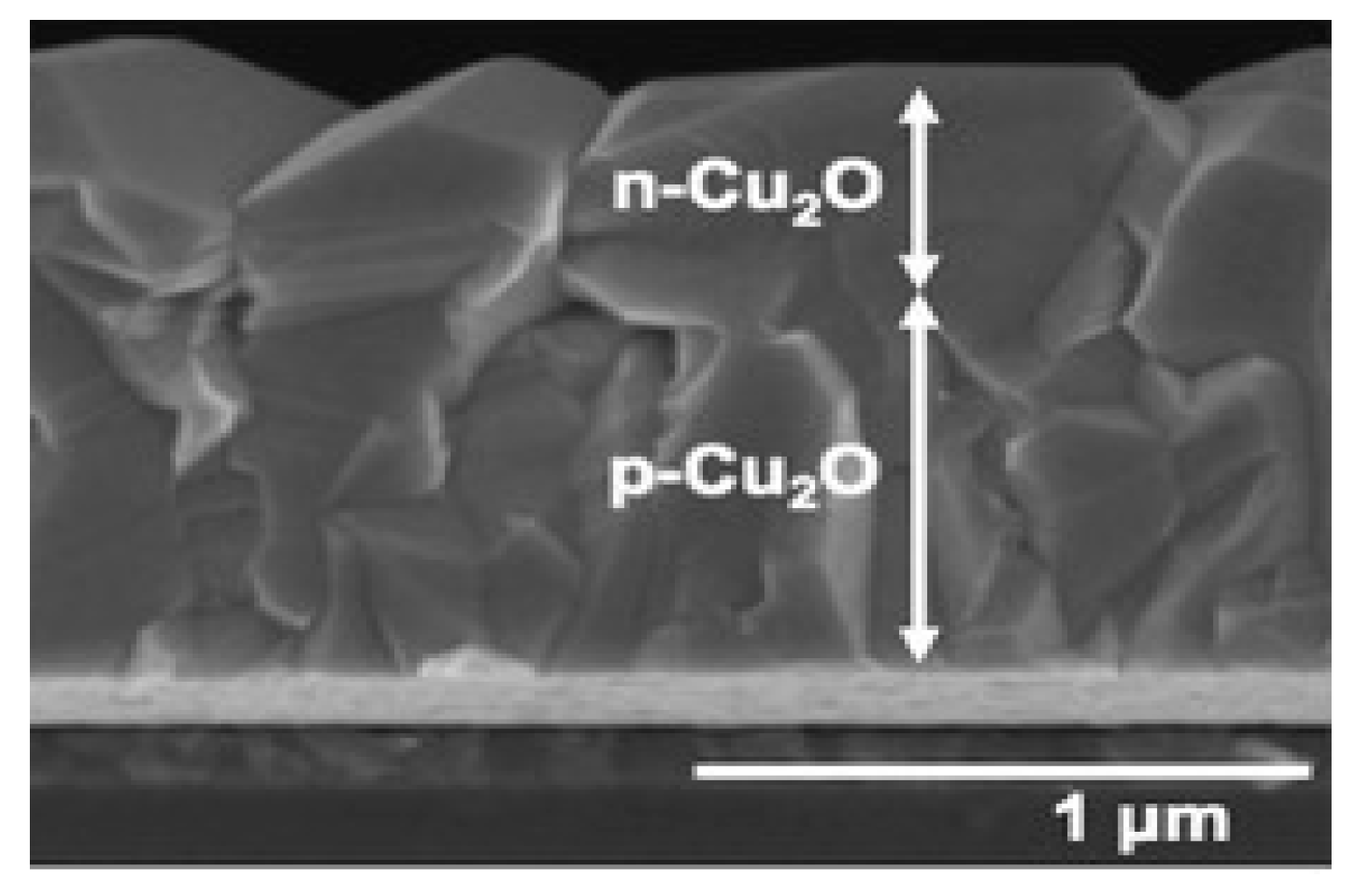 Catalysts 14 00674 g008