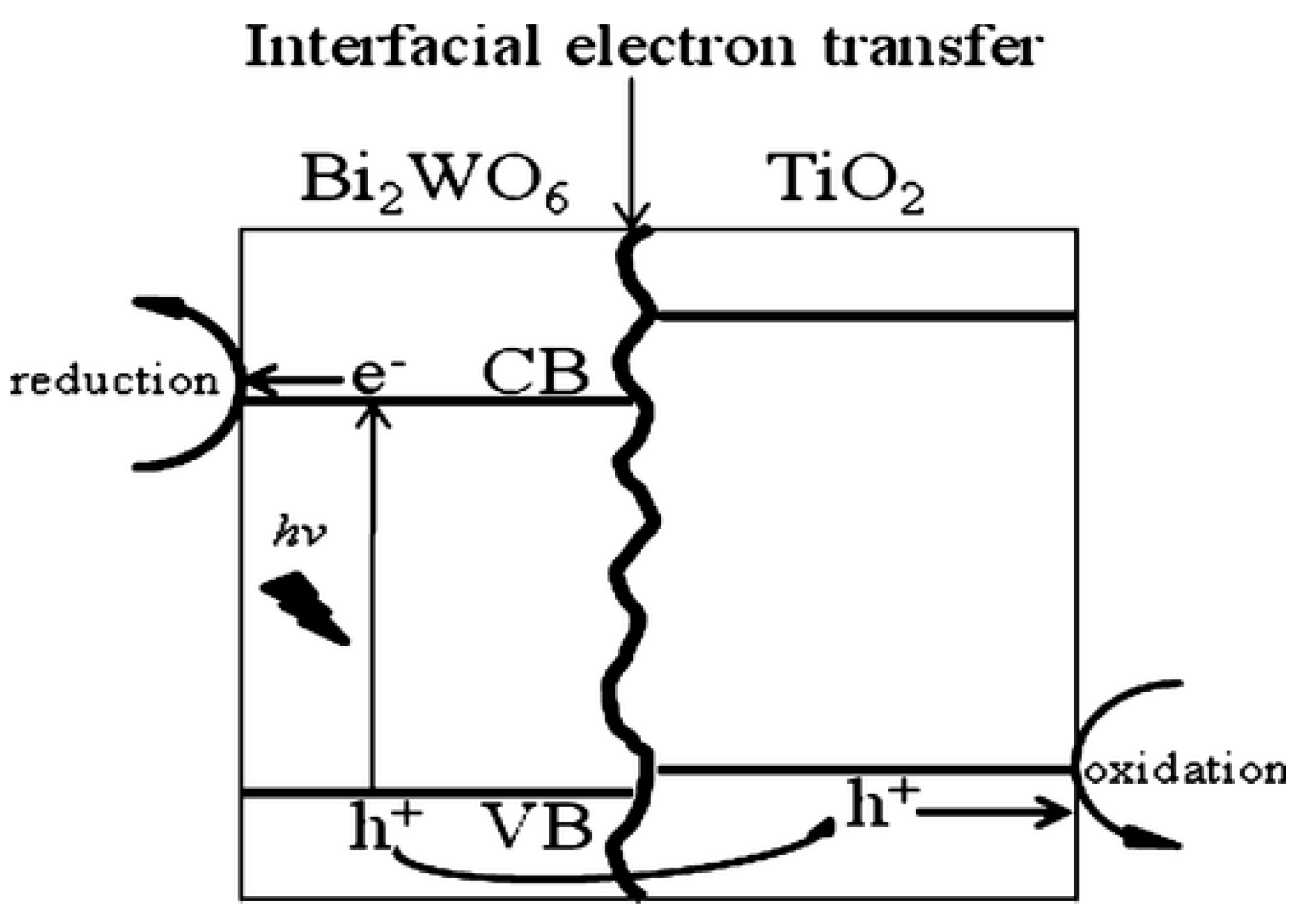 Catalysts 14 00674 g012