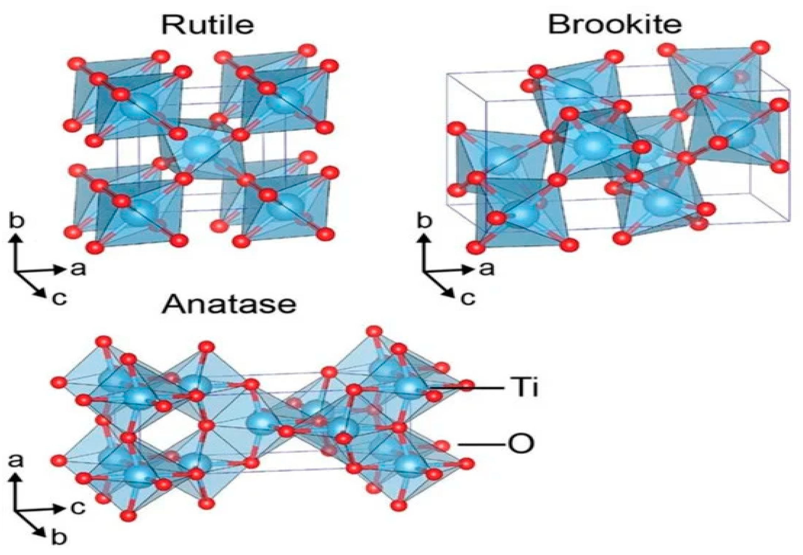 Catalysts 14 00674 g015