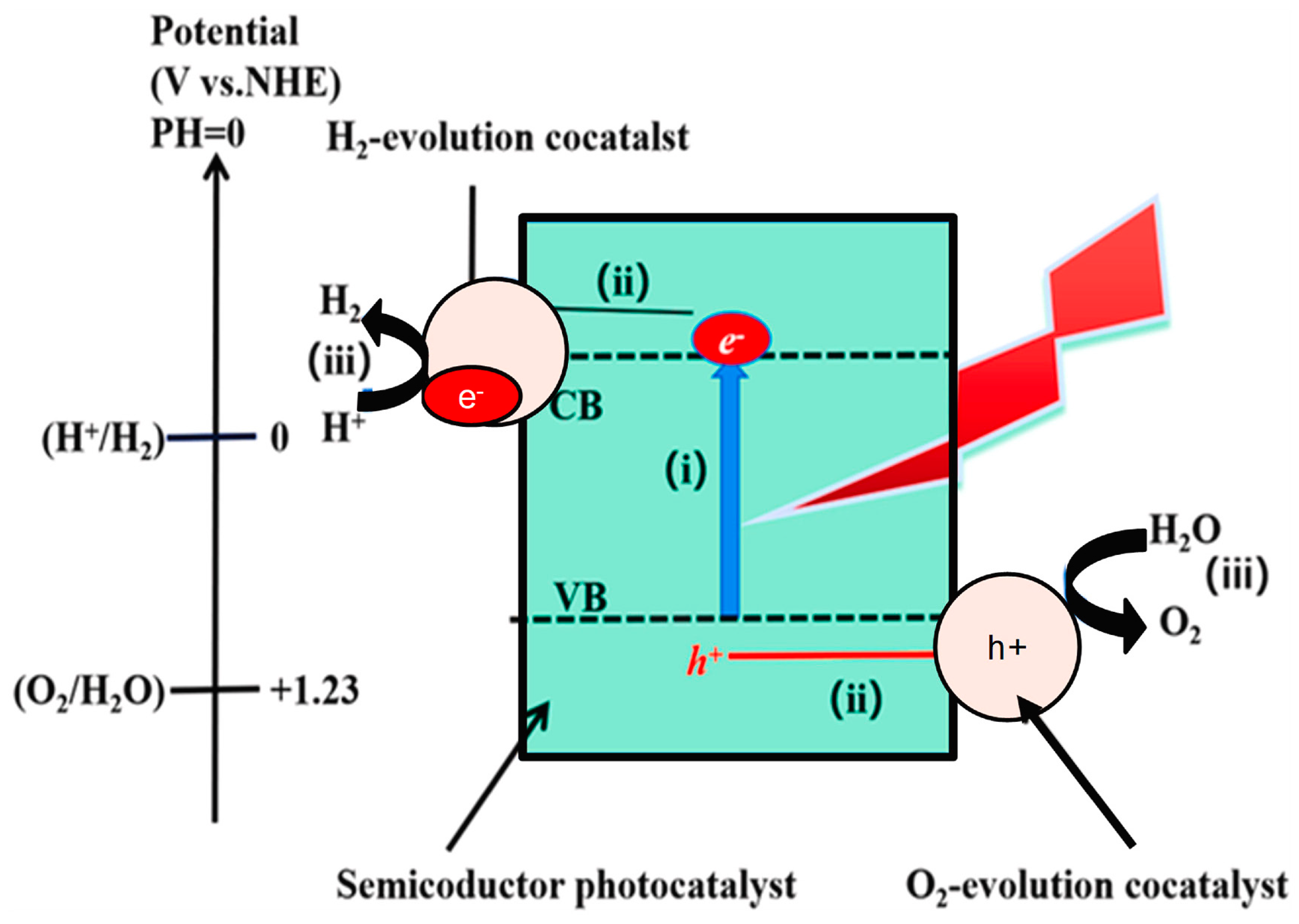 Catalysts 14 00674 g017