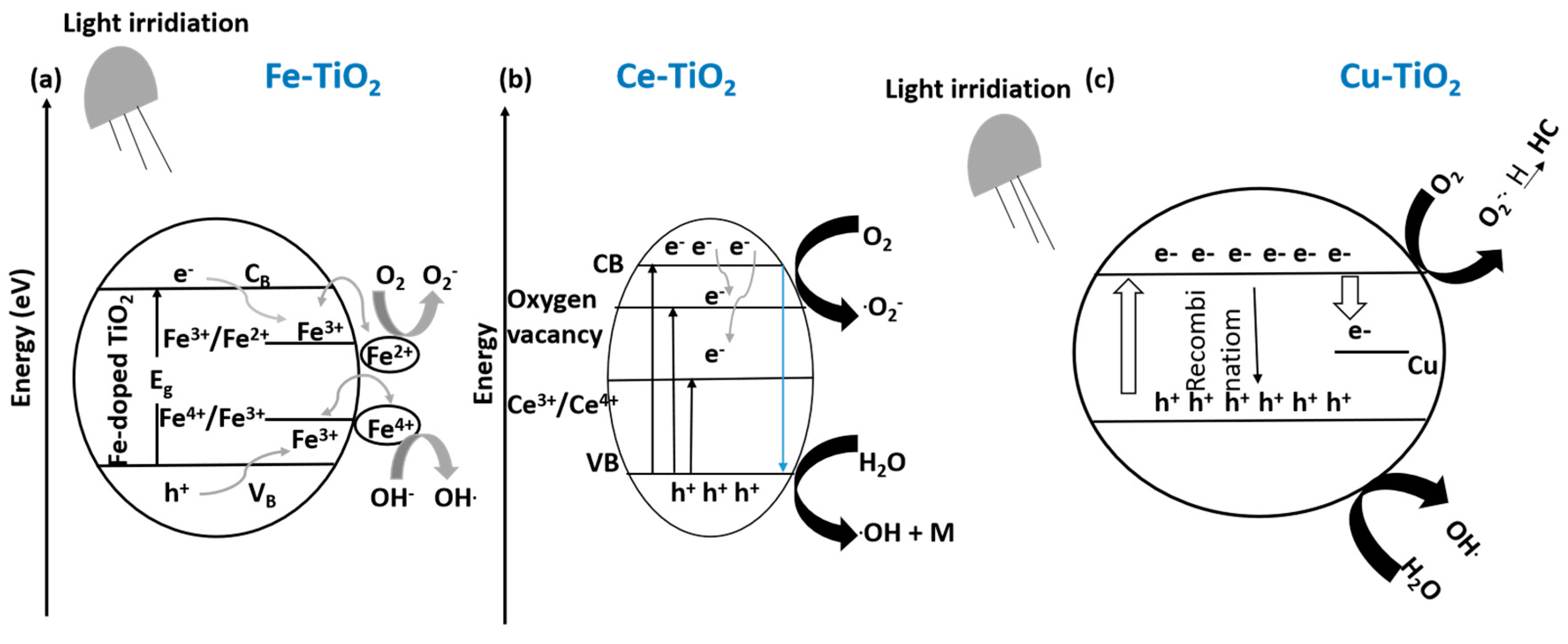 Catalysts 14 00674 g020