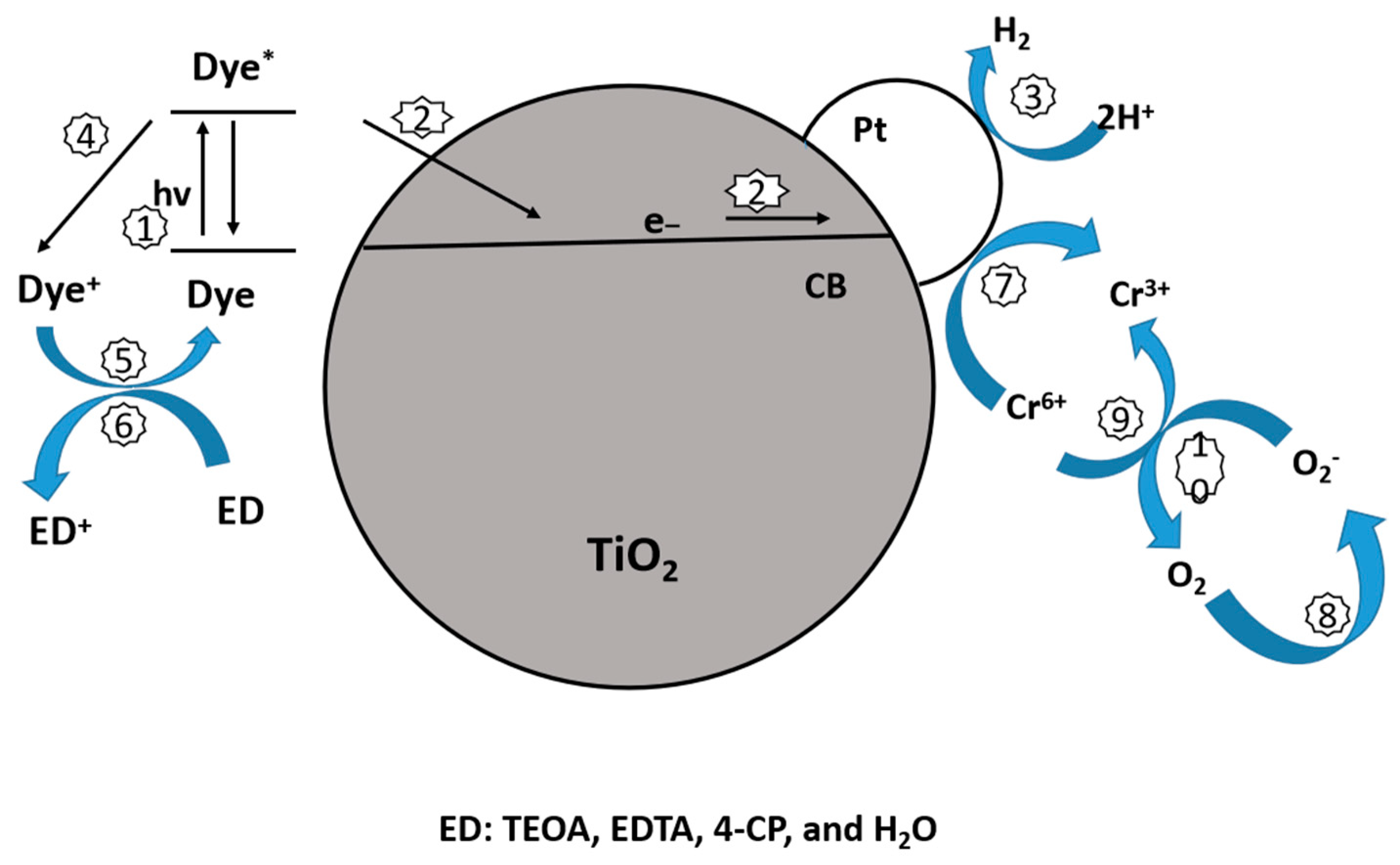 Catalysts 14 00674 g021