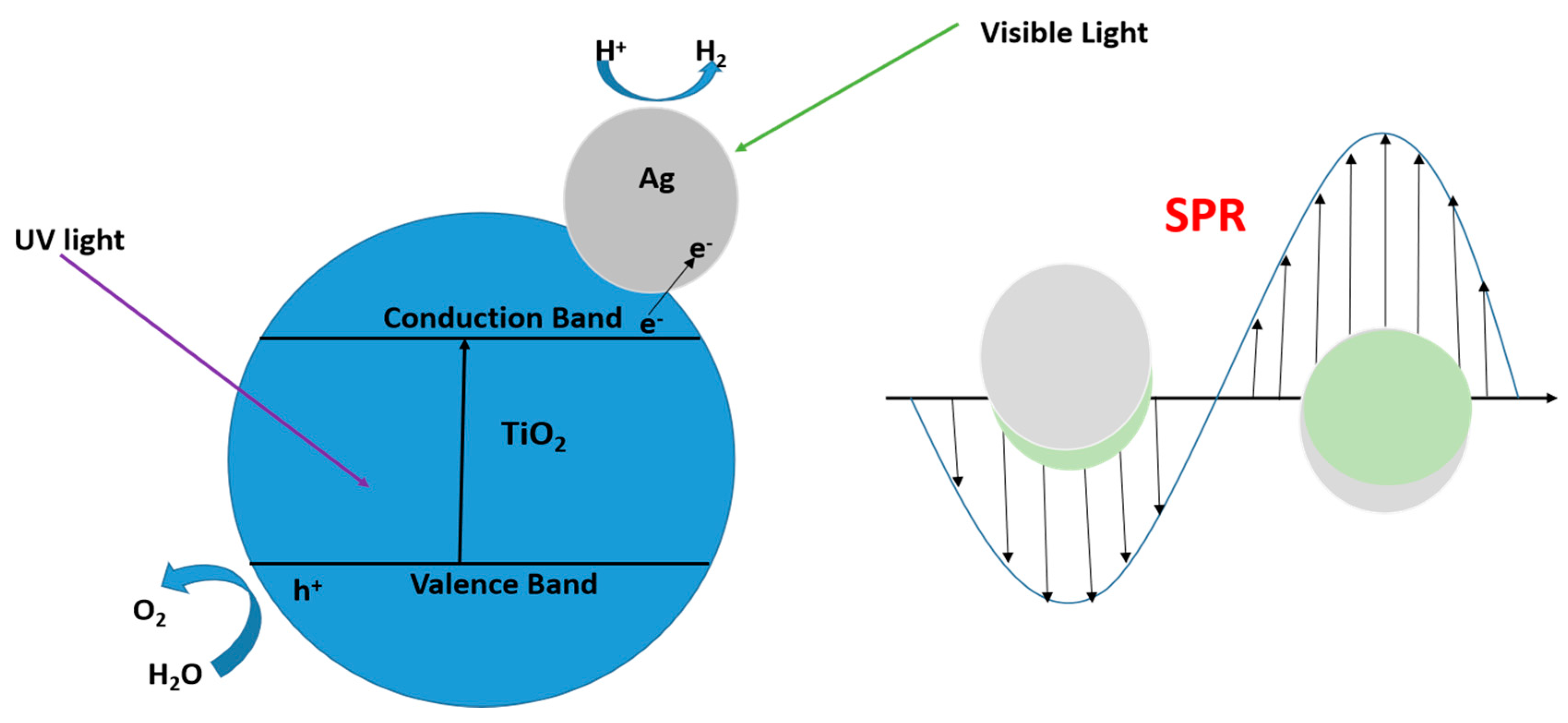 Catalysts 14 00674 g023
