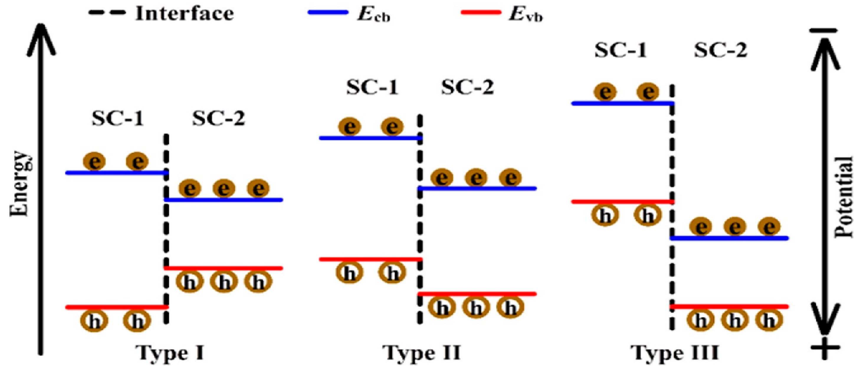 Catalysts 14 00674 g024