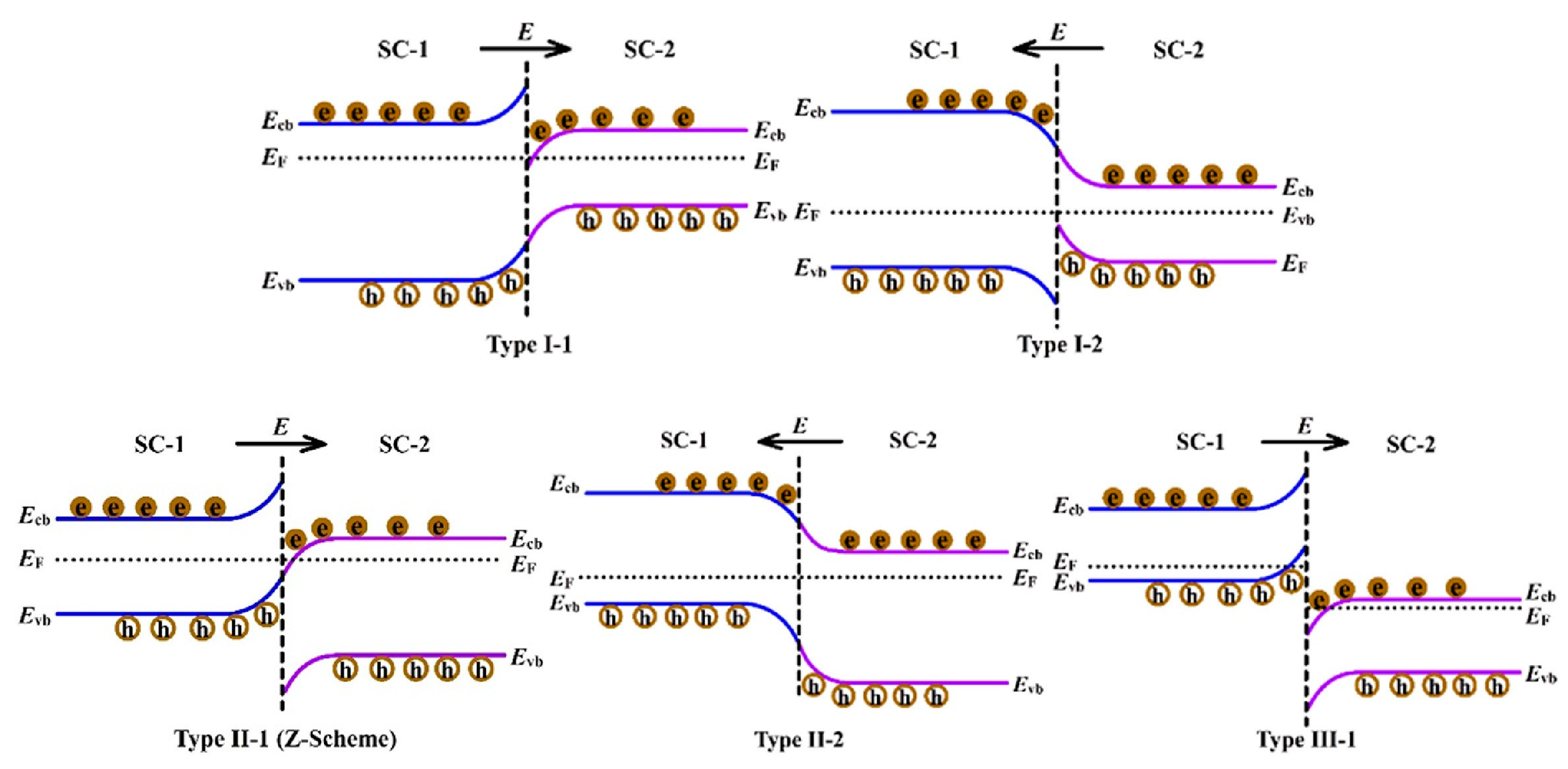 Catalysts 14 00674 g025