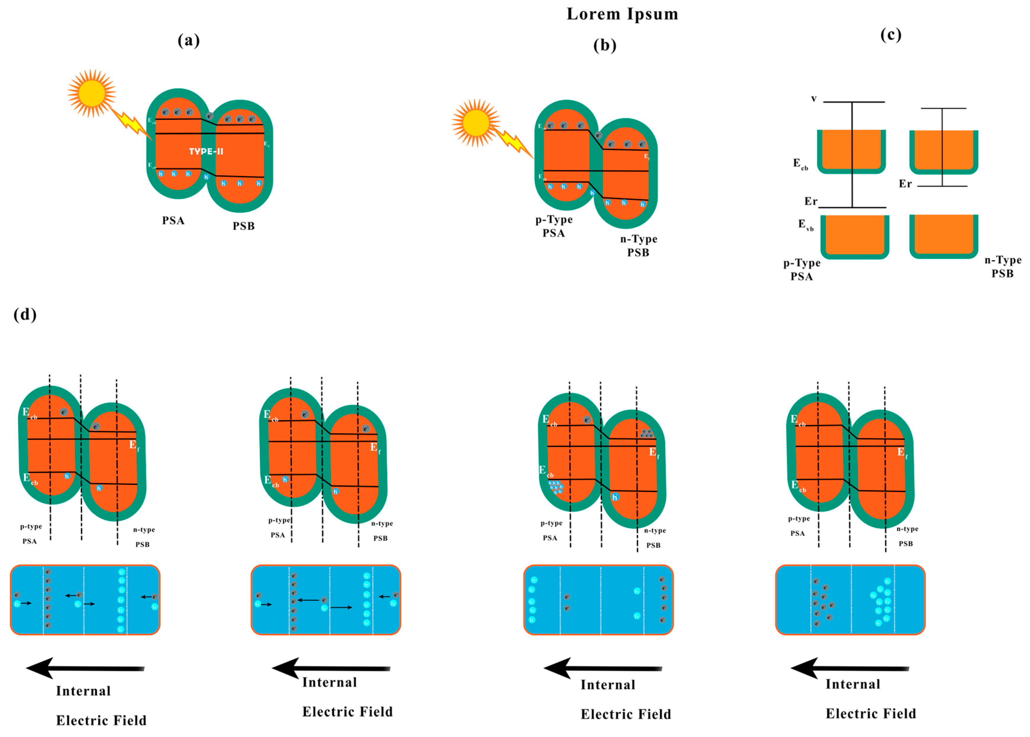 Catalysts 14 00674 g027