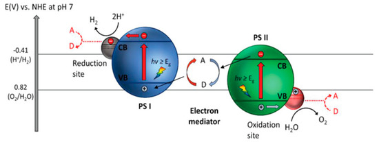 Catalysts 14 00674 g031