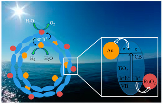 Catalysts 14 00674 g033