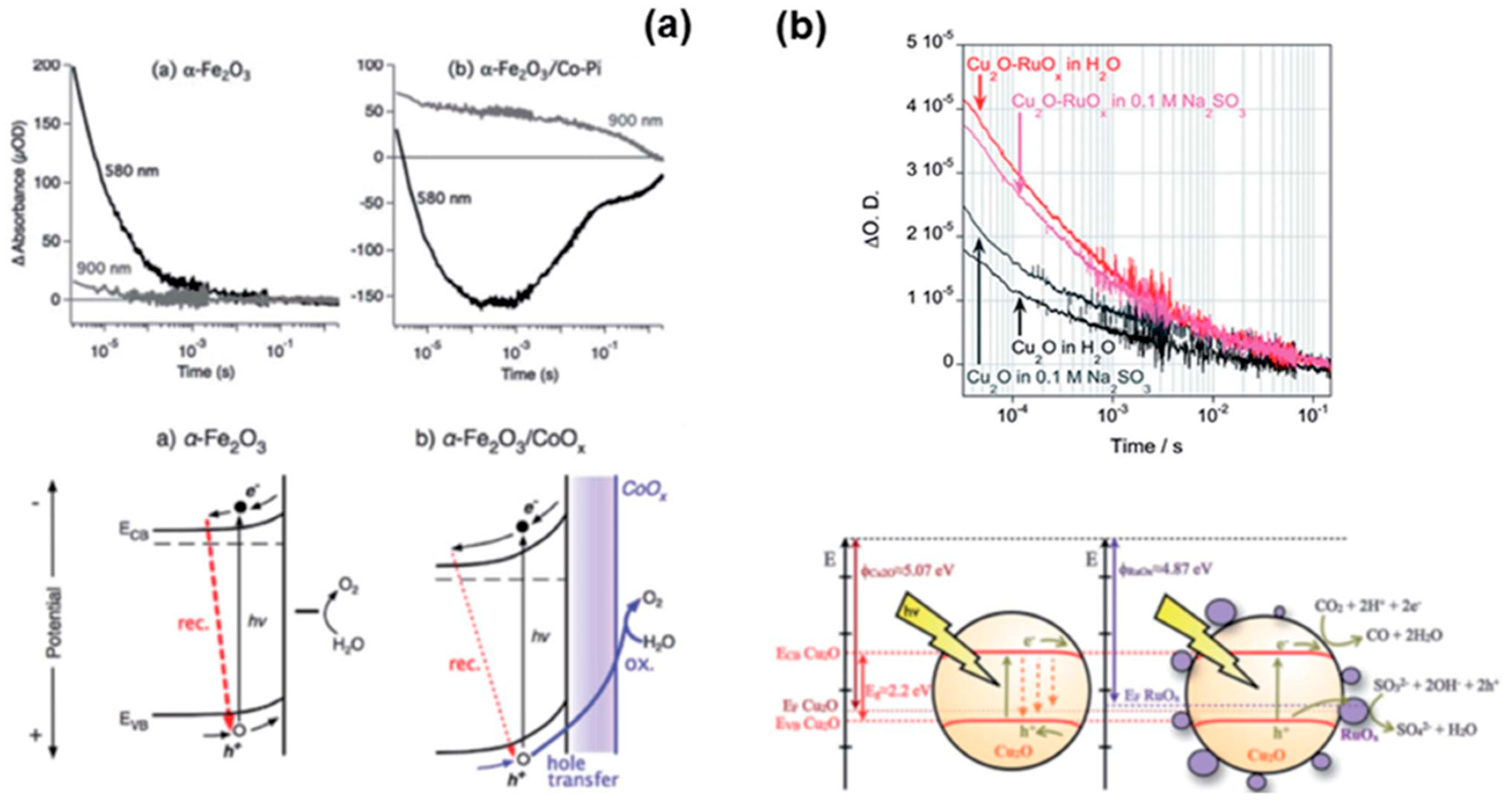 Catalysts 14 00674 g034