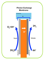 Catalysts 14 00674 i001