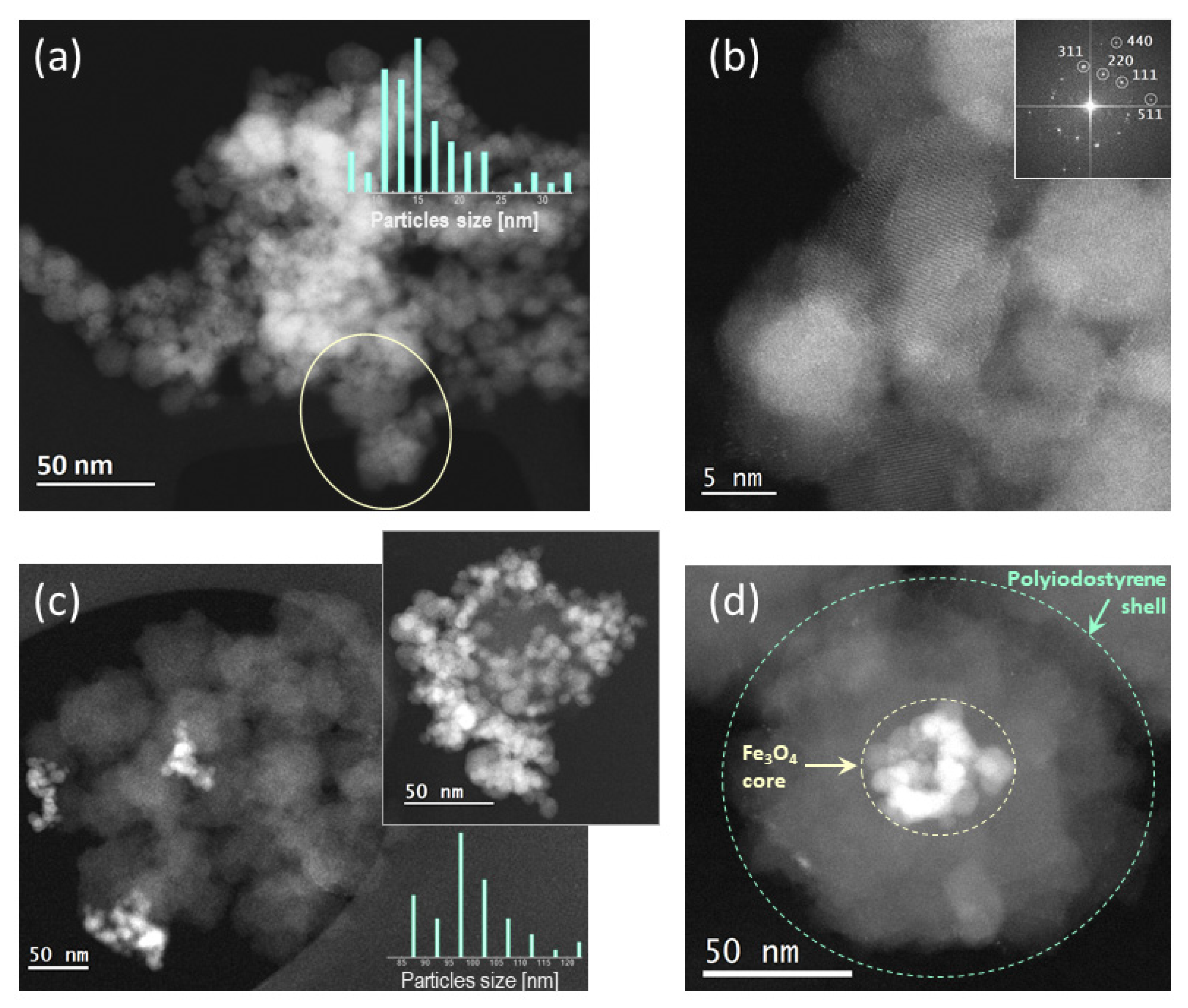 Catalysts 14 00677 g004